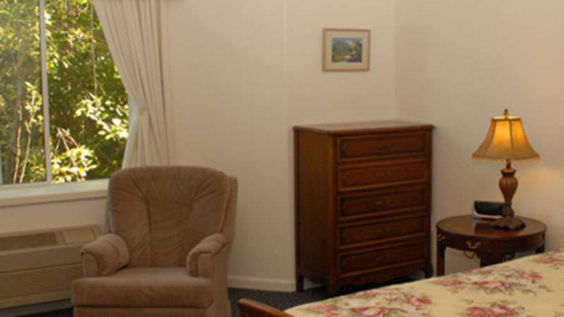 System.Collections.Generic.List`1[AFS.Common.Models.Photo] - Image 4