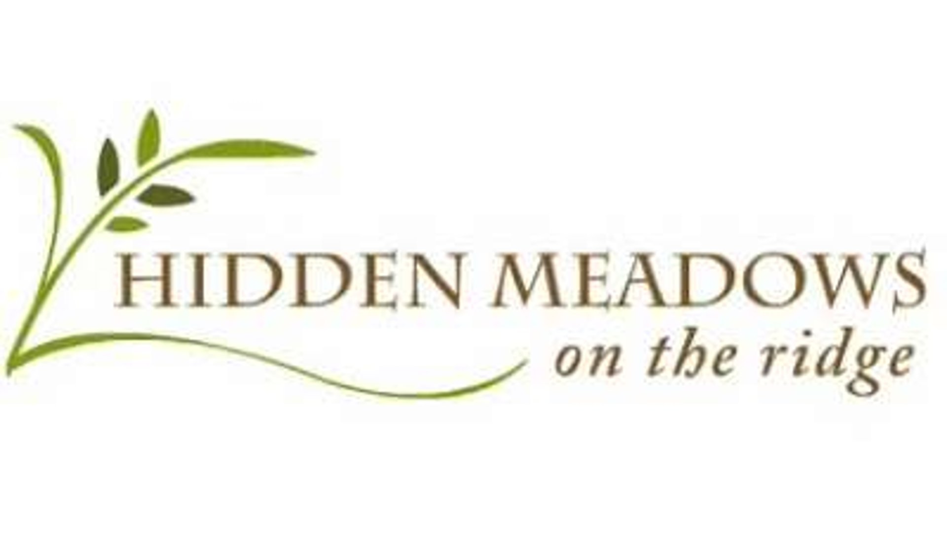 System.Collections.Generic.List`1[AFS.Common.Models.Photo] - Image 1