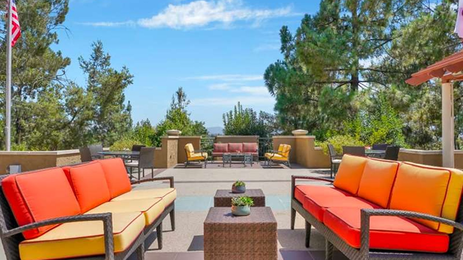 System.Collections.Generic.List`1[AFS.Common.Models.Photo] - Image 1