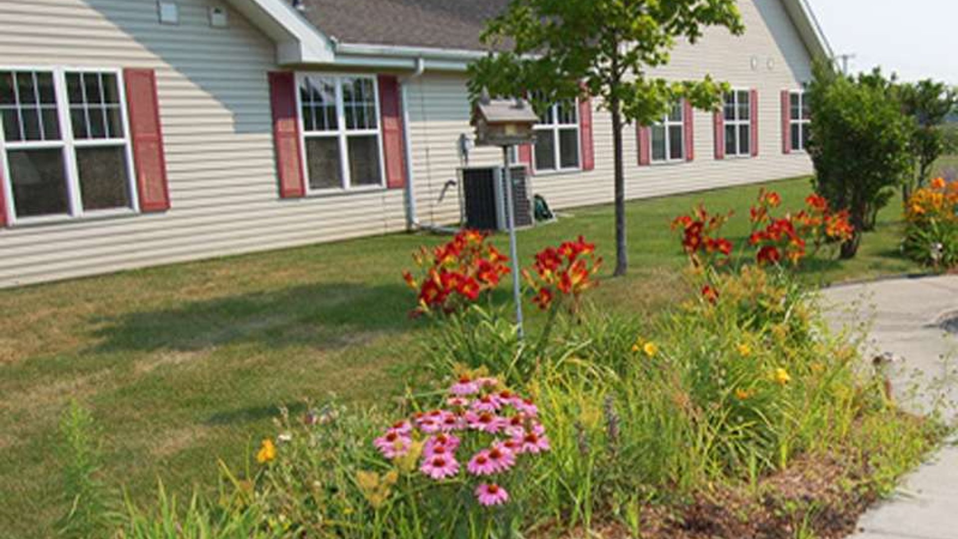 System.Collections.Generic.List`1[AFS.Common.Models.Photo] - Image 3