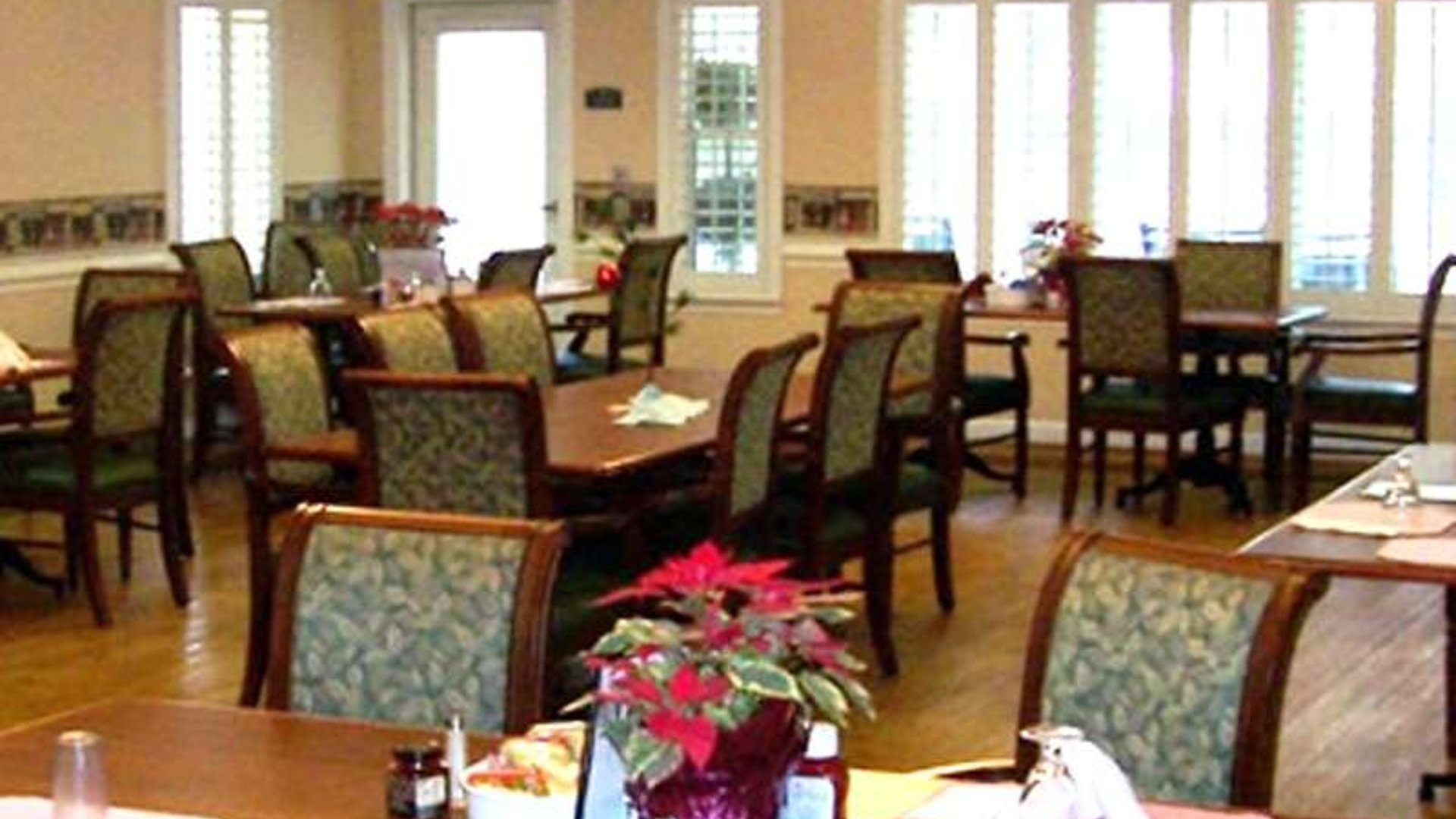 System.Collections.Generic.List`1[AFS.Common.Models.Photo] - Image 2