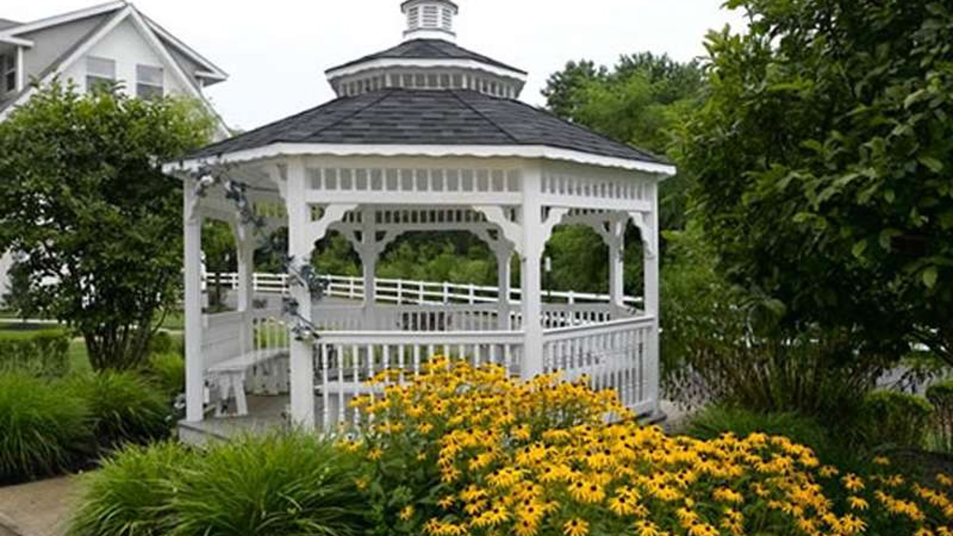 System.Collections.Generic.List`1[AFS.Common.Models.Photo] - Image 2