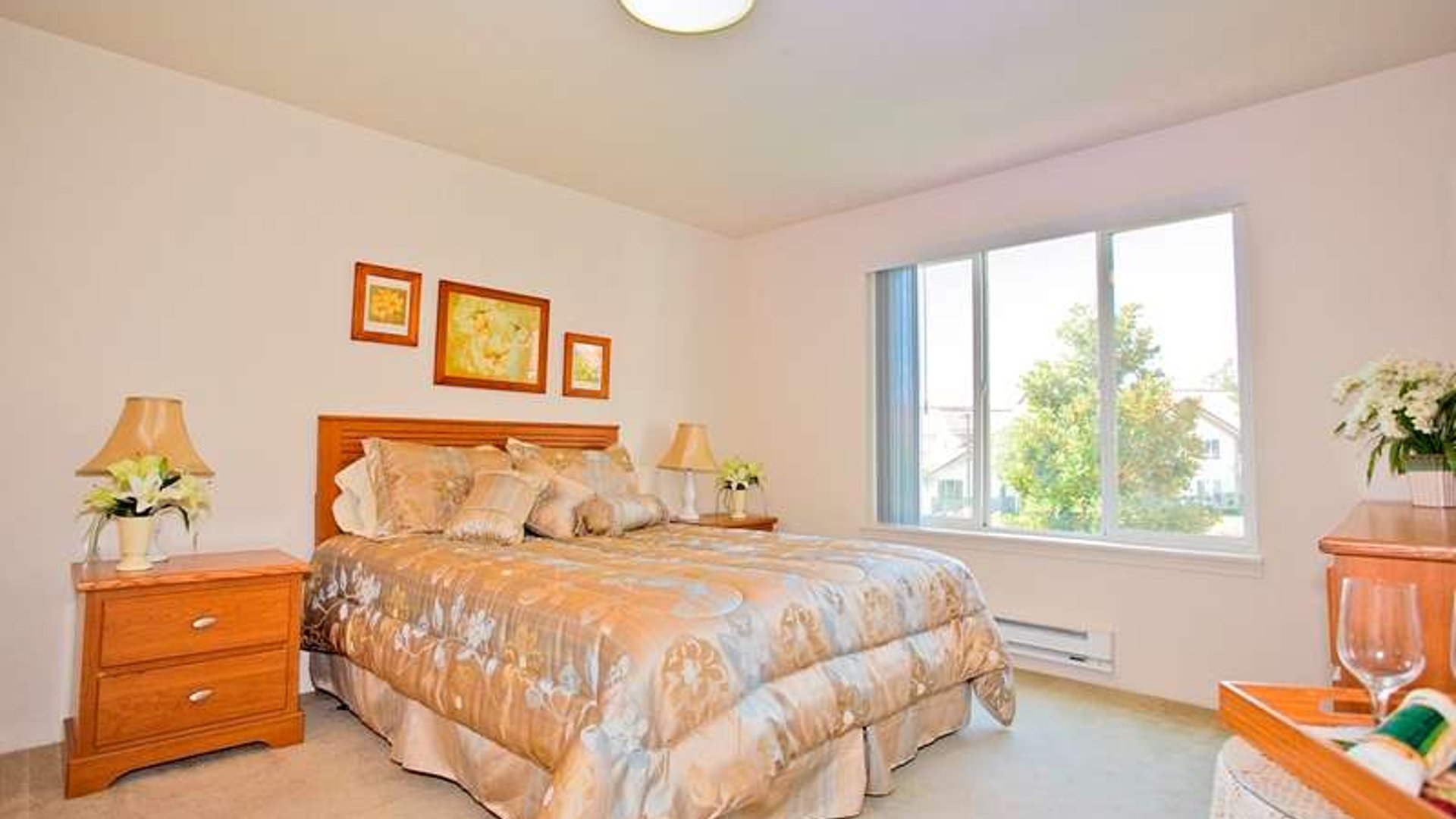 System.Collections.Generic.List`1[AFS.Common.Models.Photo] - Image 5