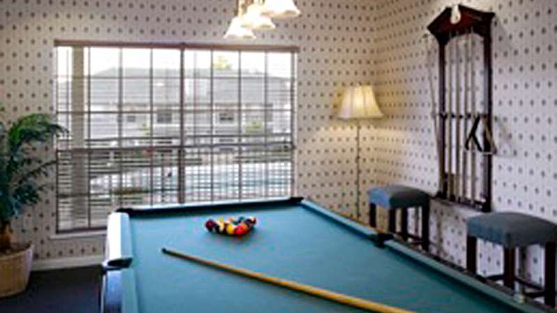 System.Collections.Generic.List`1[AFS.Common.Models.Photo] - Image 5