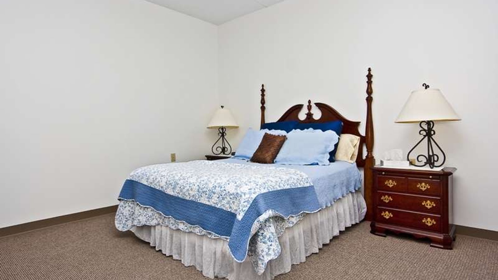 System.Collections.Generic.List`1[AFS.Common.Models.Photo] - Image 5