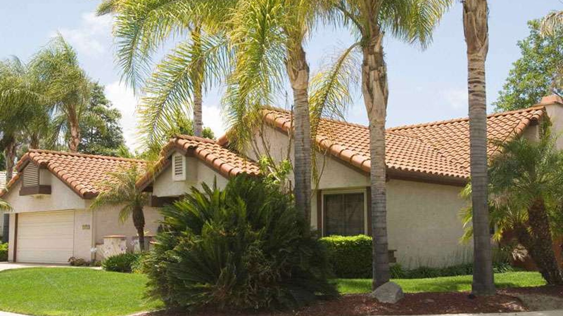 System.Collections.Generic.List`1[AFS.Common.Models.Photo] - Image 1