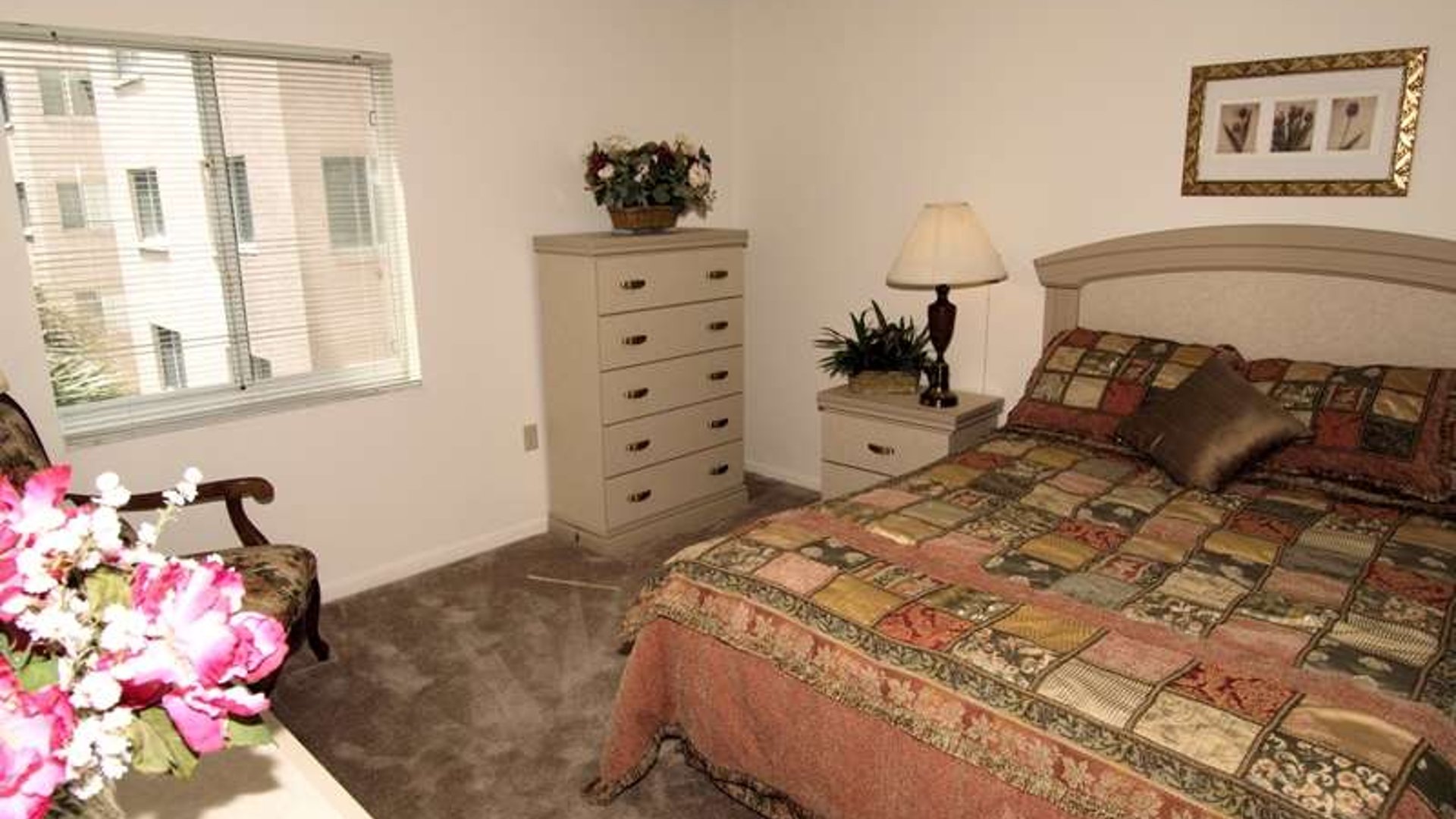 System.Collections.Generic.List`1[AFS.Common.Models.Photo] - Image 5