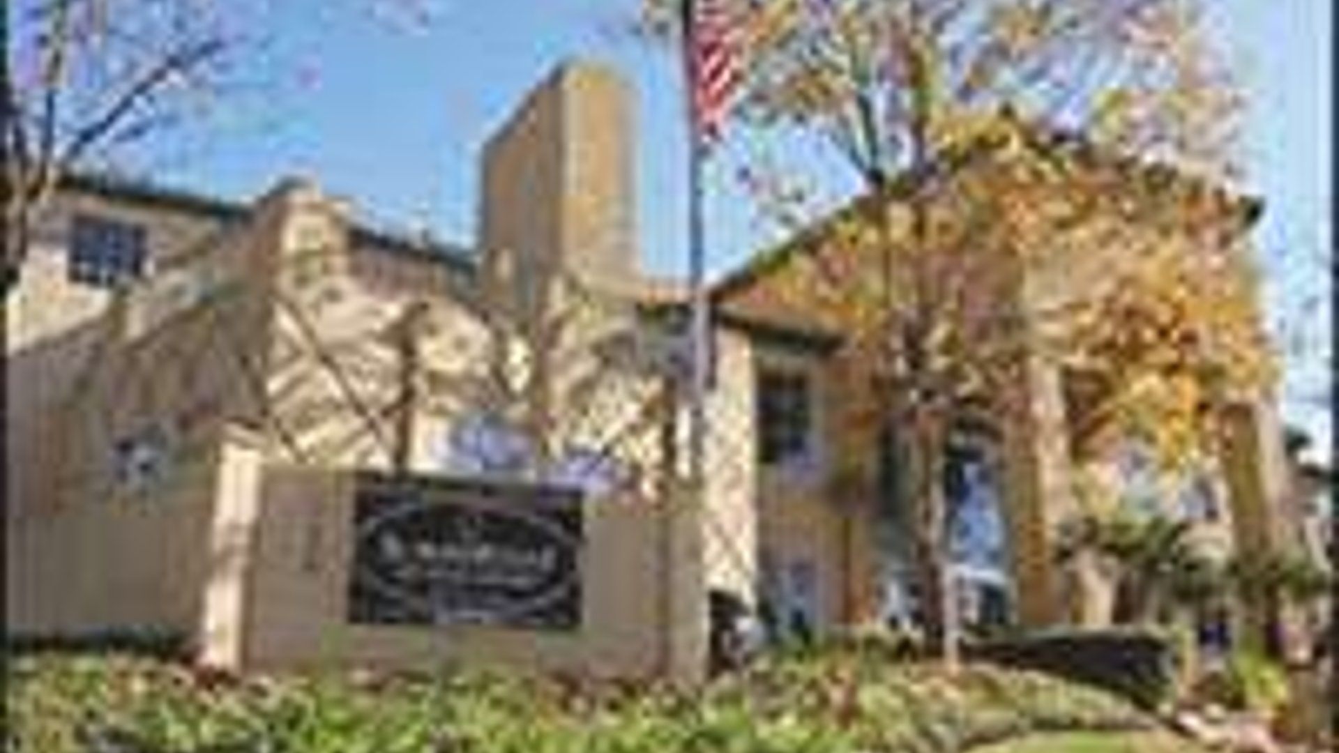 System.Collections.Generic.List`1[AFS.Common.Models.Photo] - Image 1