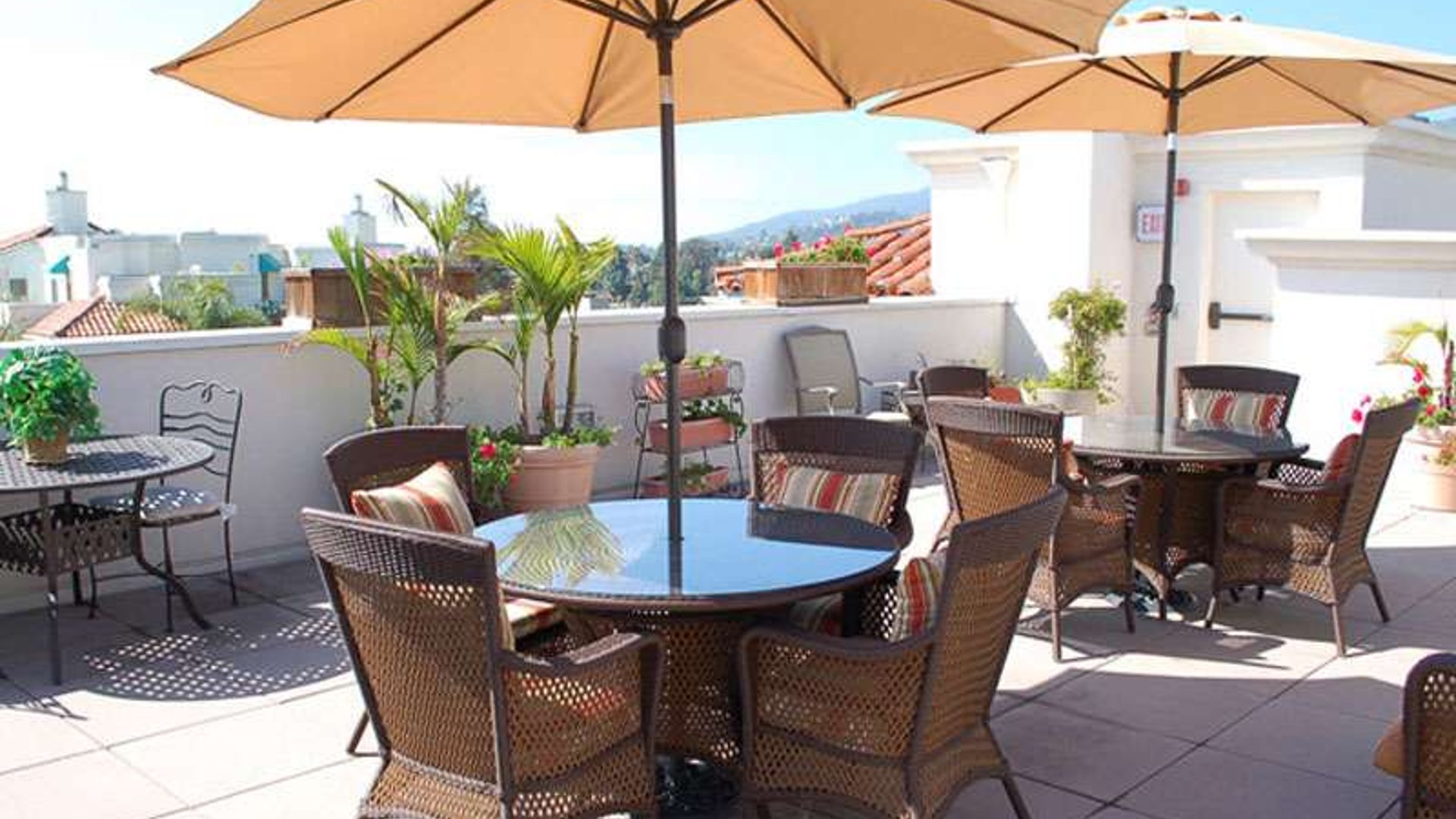 System.Collections.Generic.List`1[AFS.Common.Models.Photo] - Image 2