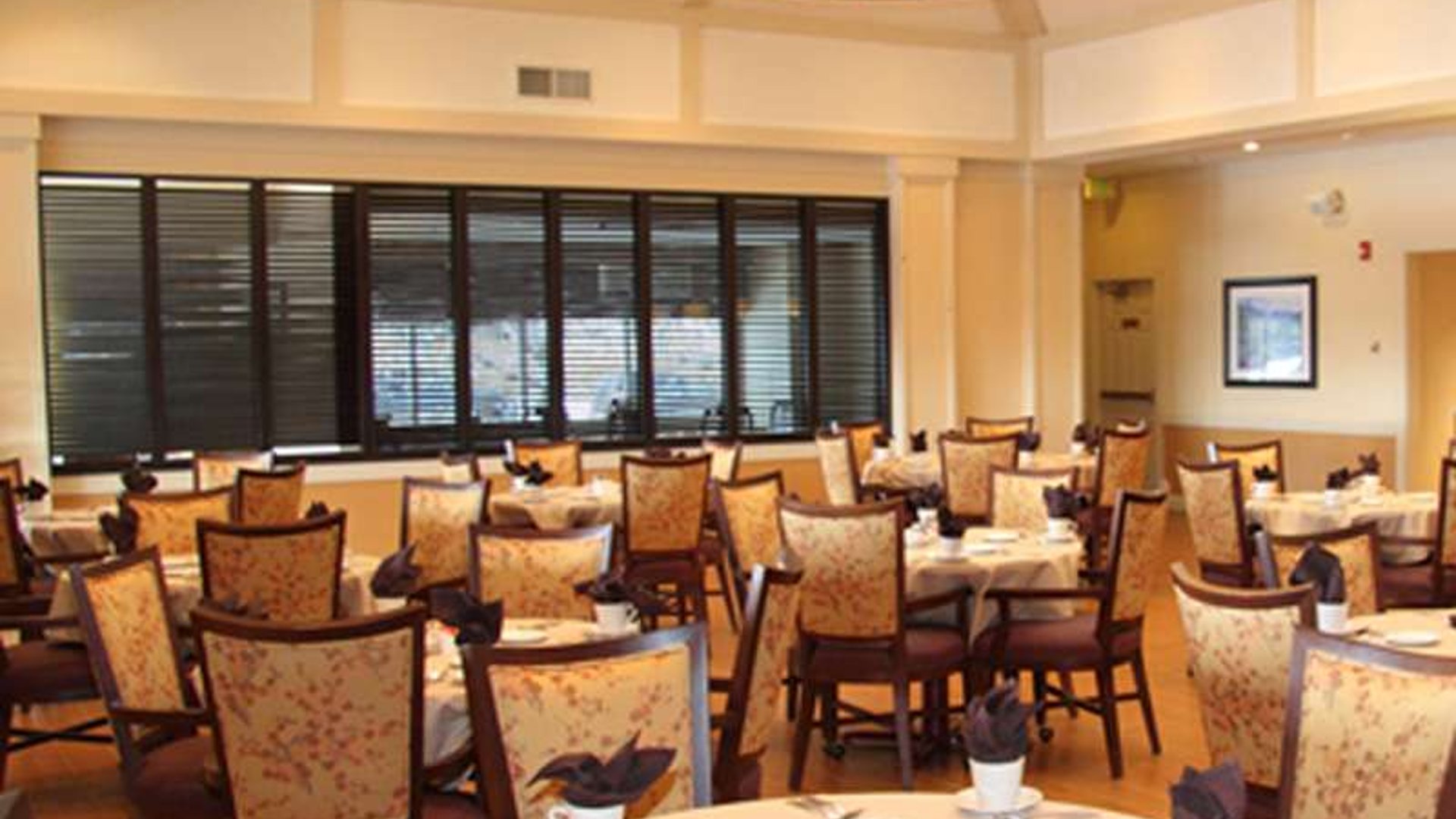 System.Collections.Generic.List`1[AFS.Common.Models.Photo] - Image 4