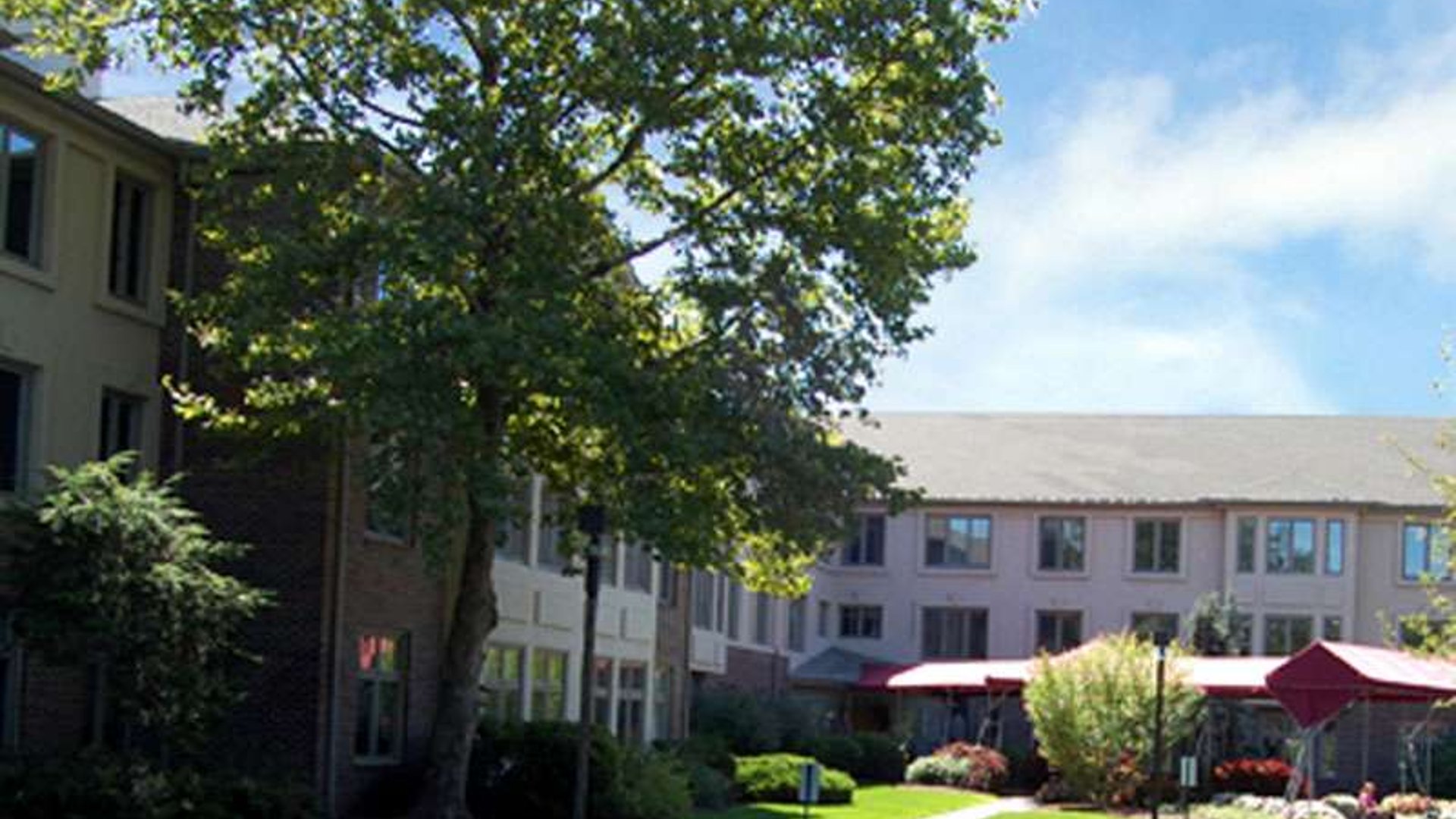 System.Collections.Generic.List`1[AFS.Common.Models.Photo] - Image 1