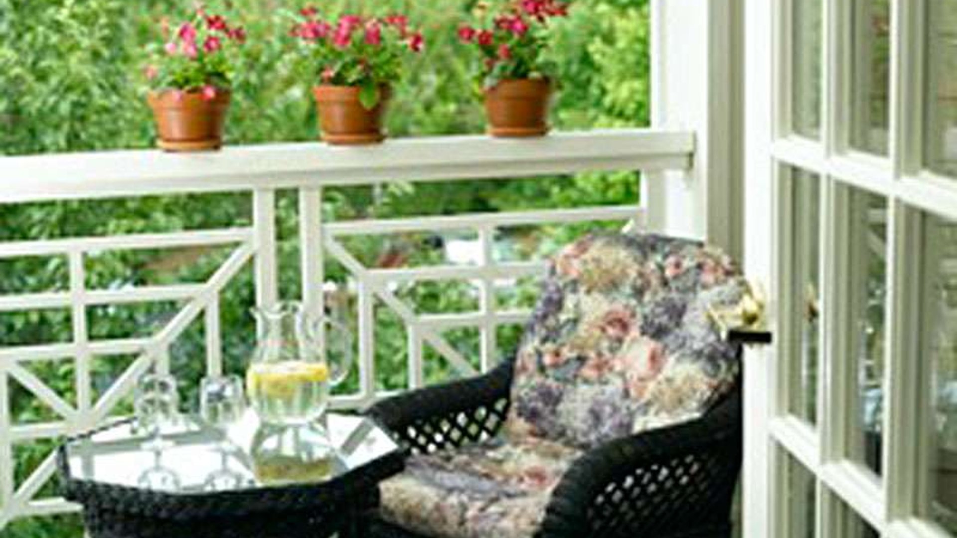 System.Collections.Generic.List`1[AFS.Common.Models.Photo] - Image 6