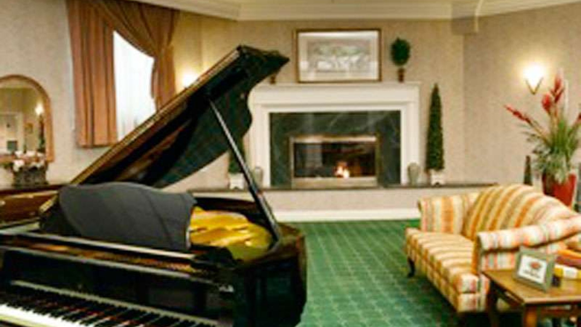 System.Collections.Generic.List`1[AFS.Common.Models.Photo] - Image 2