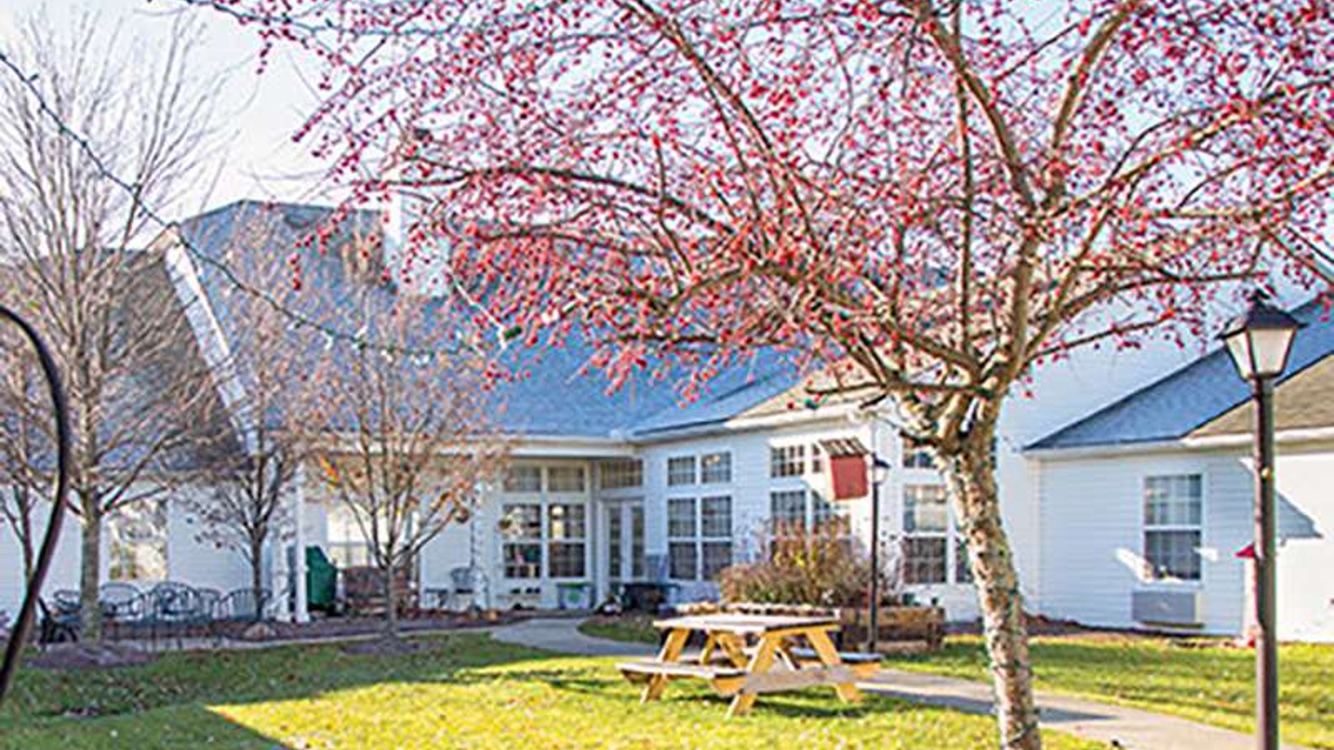 System.Collections.Generic.List`1[AFS.Common.Models.Photo] - Image 4