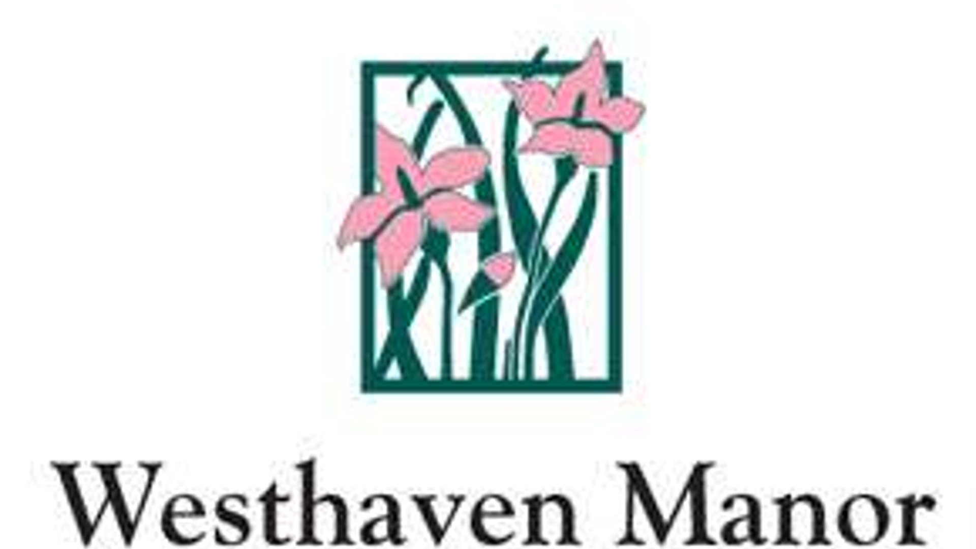 System.Collections.Generic.List`1[AFS.Common.Models.Photo] - Image 1