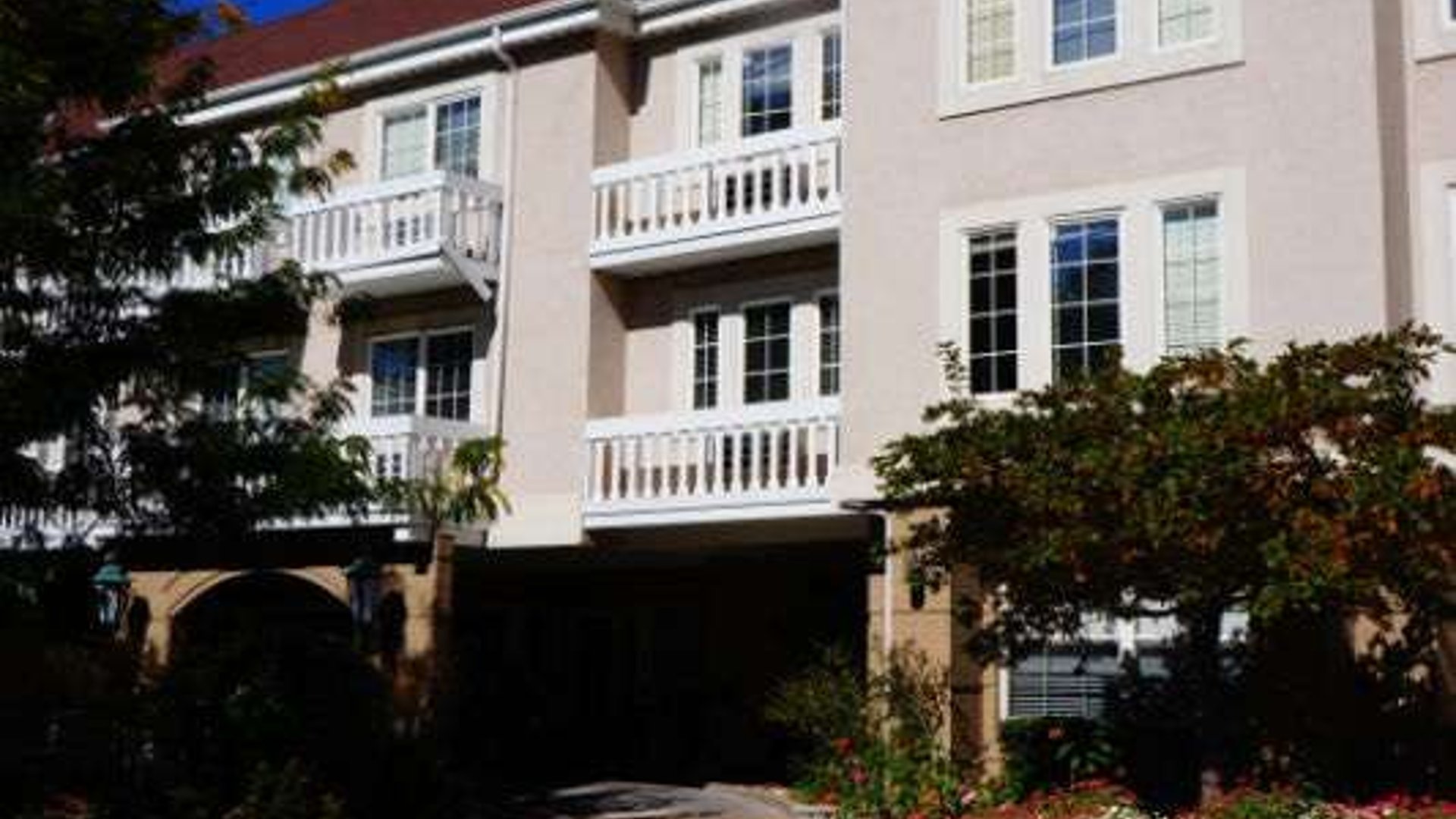 System.Collections.Generic.List`1[AFS.Common.Models.Photo] - Image 1