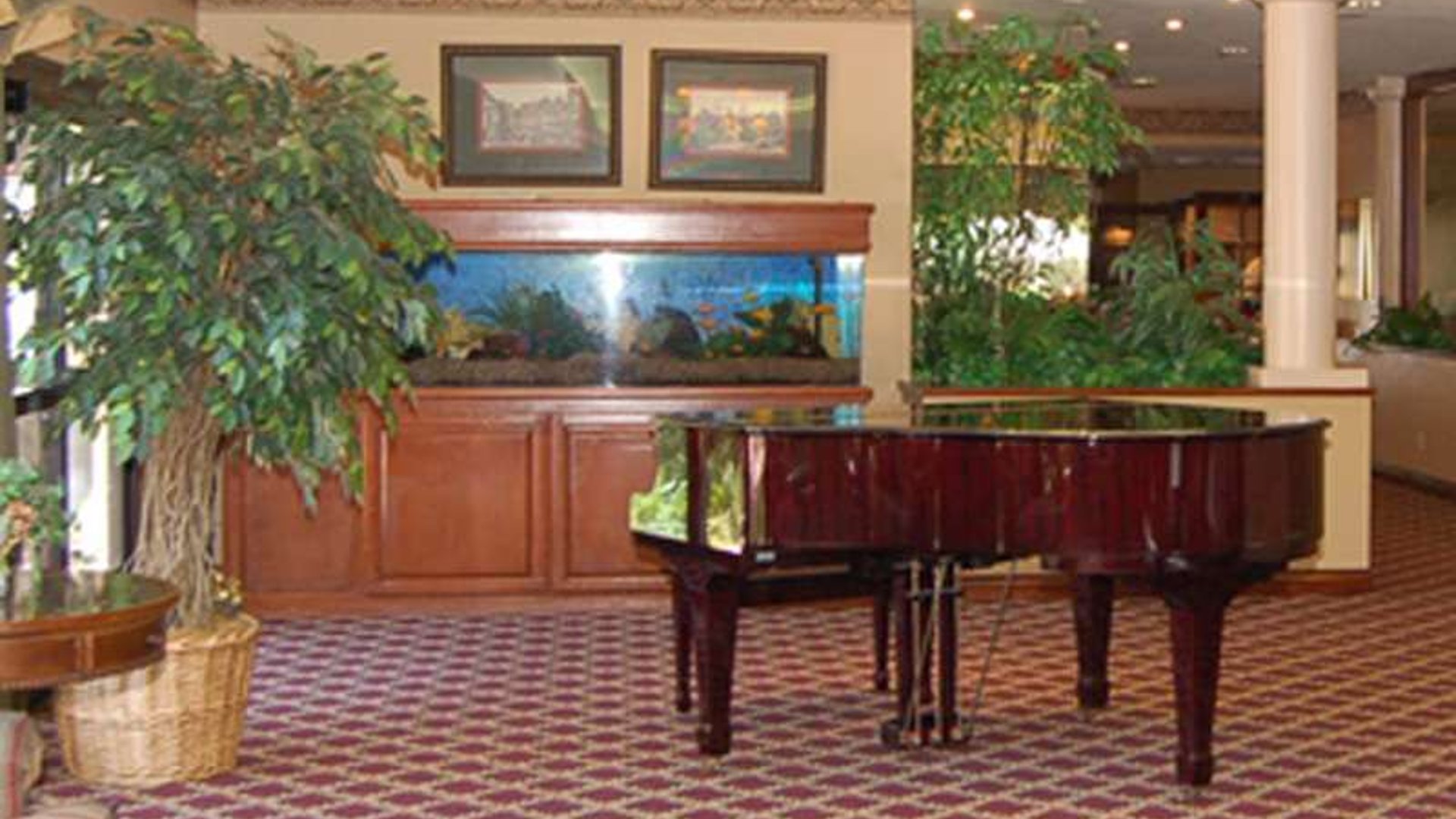 System.Collections.Generic.List`1[AFS.Common.Models.Photo] - Image 2