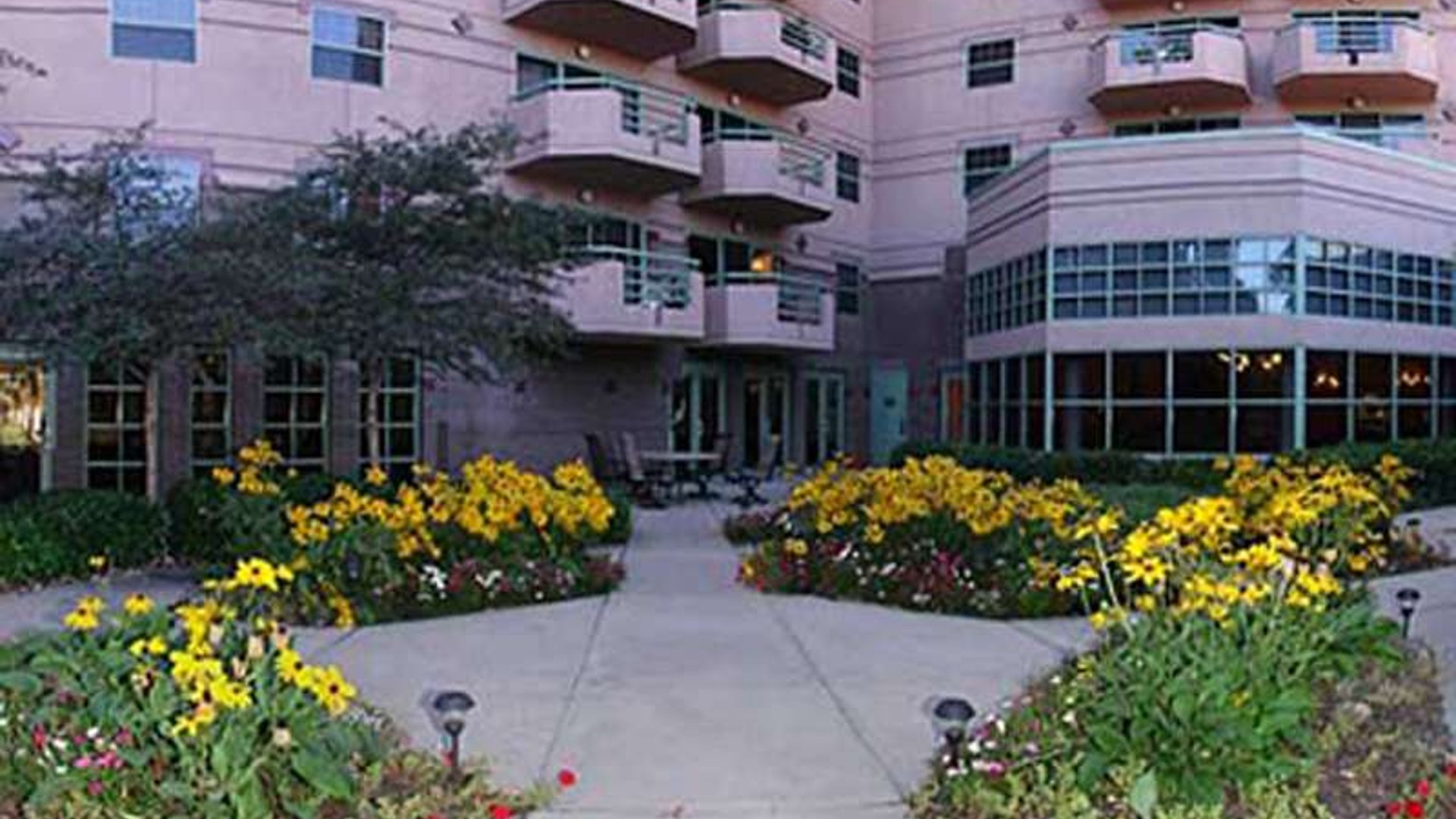 System.Collections.Generic.List`1[AFS.Common.Models.Photo] - Image 2