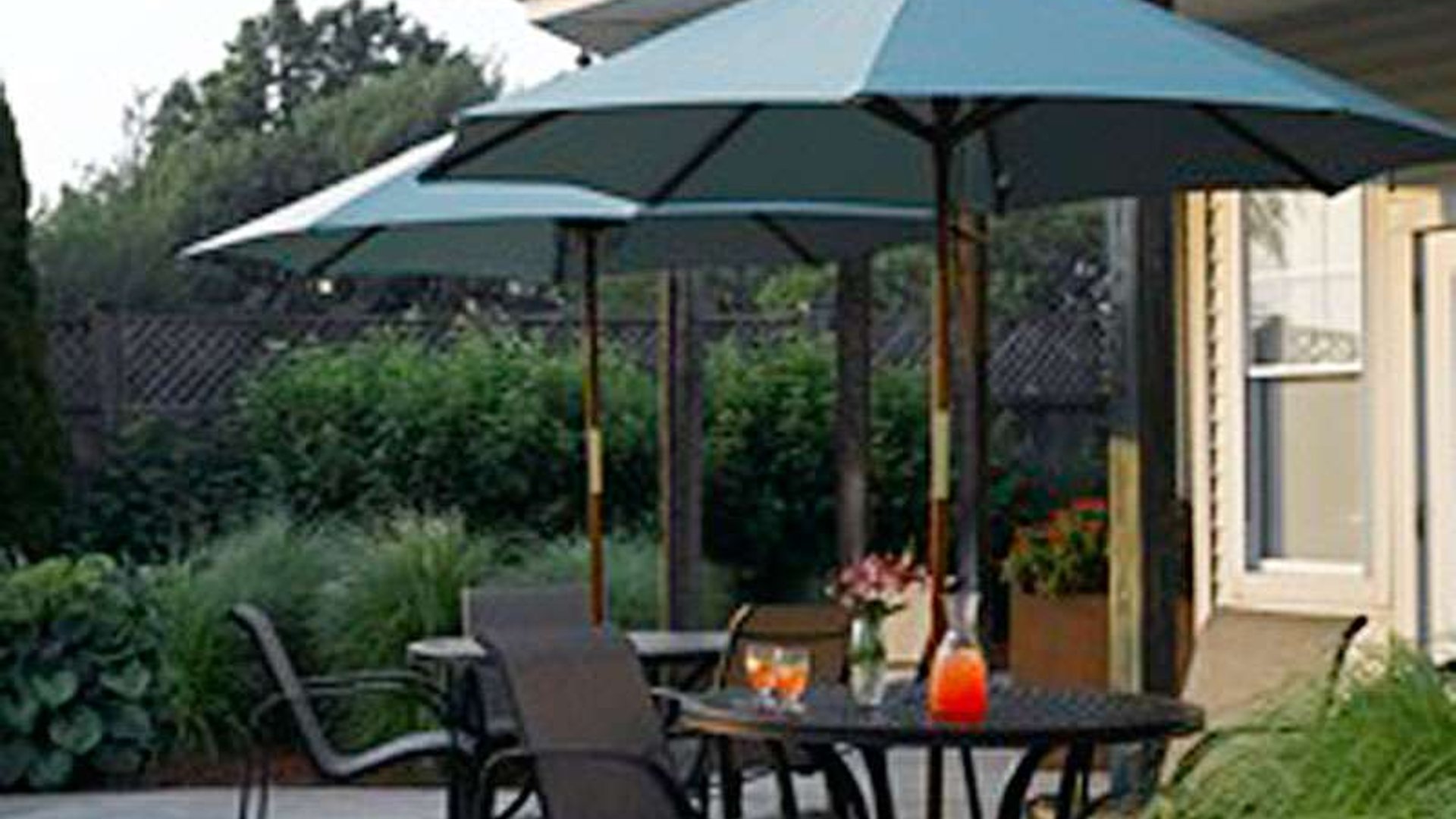 System.Collections.Generic.List`1[AFS.Common.Models.Photo] - Image 3