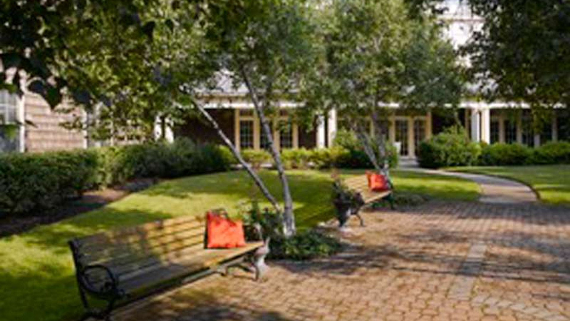 System.Collections.Generic.List`1[AFS.Common.Models.Photo] - Image 5