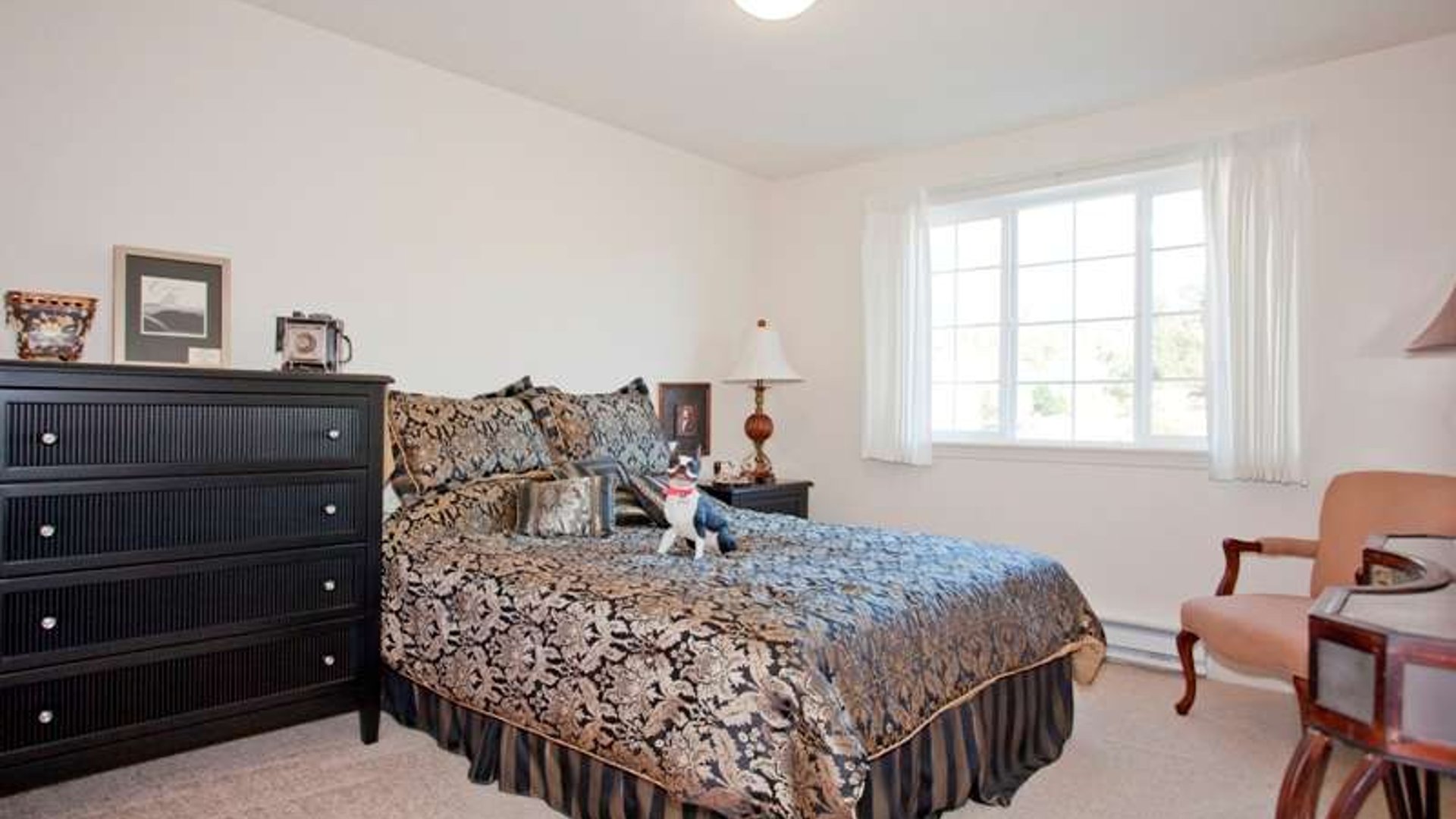 System.Collections.Generic.List`1[AFS.Common.Models.Photo] - Image 5