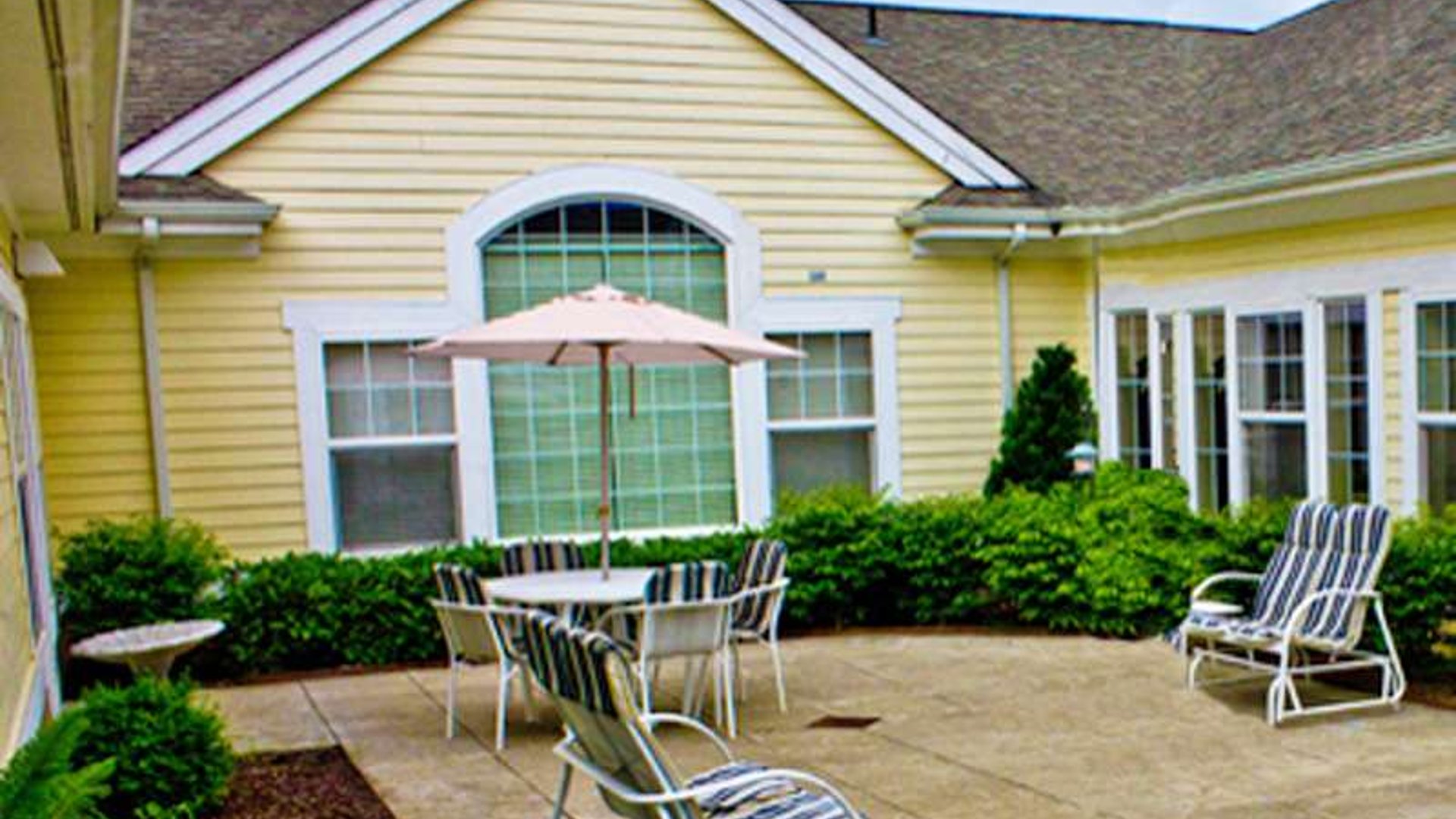 System.Collections.Generic.List`1[AFS.Common.Models.Photo] - Image 4