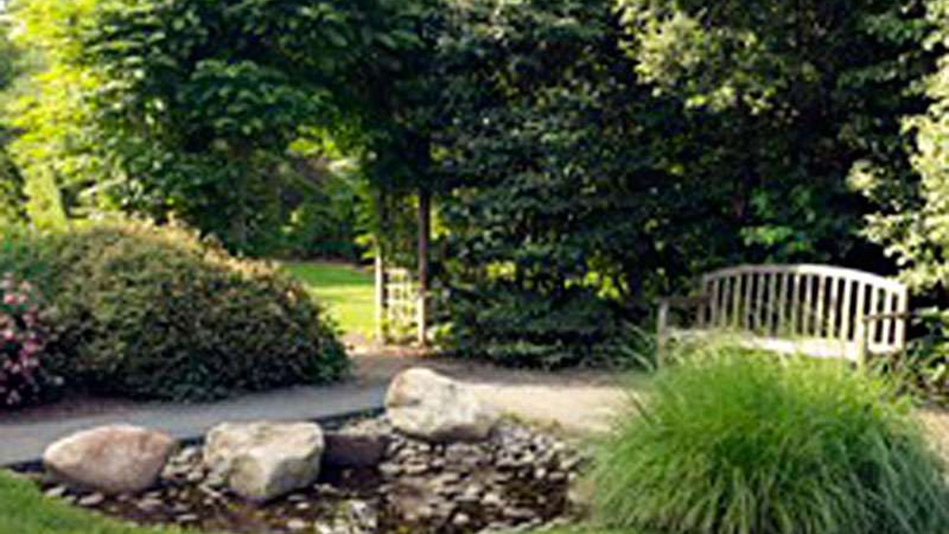 System.Collections.Generic.List`1[AFS.Common.Models.Photo] - Image 4