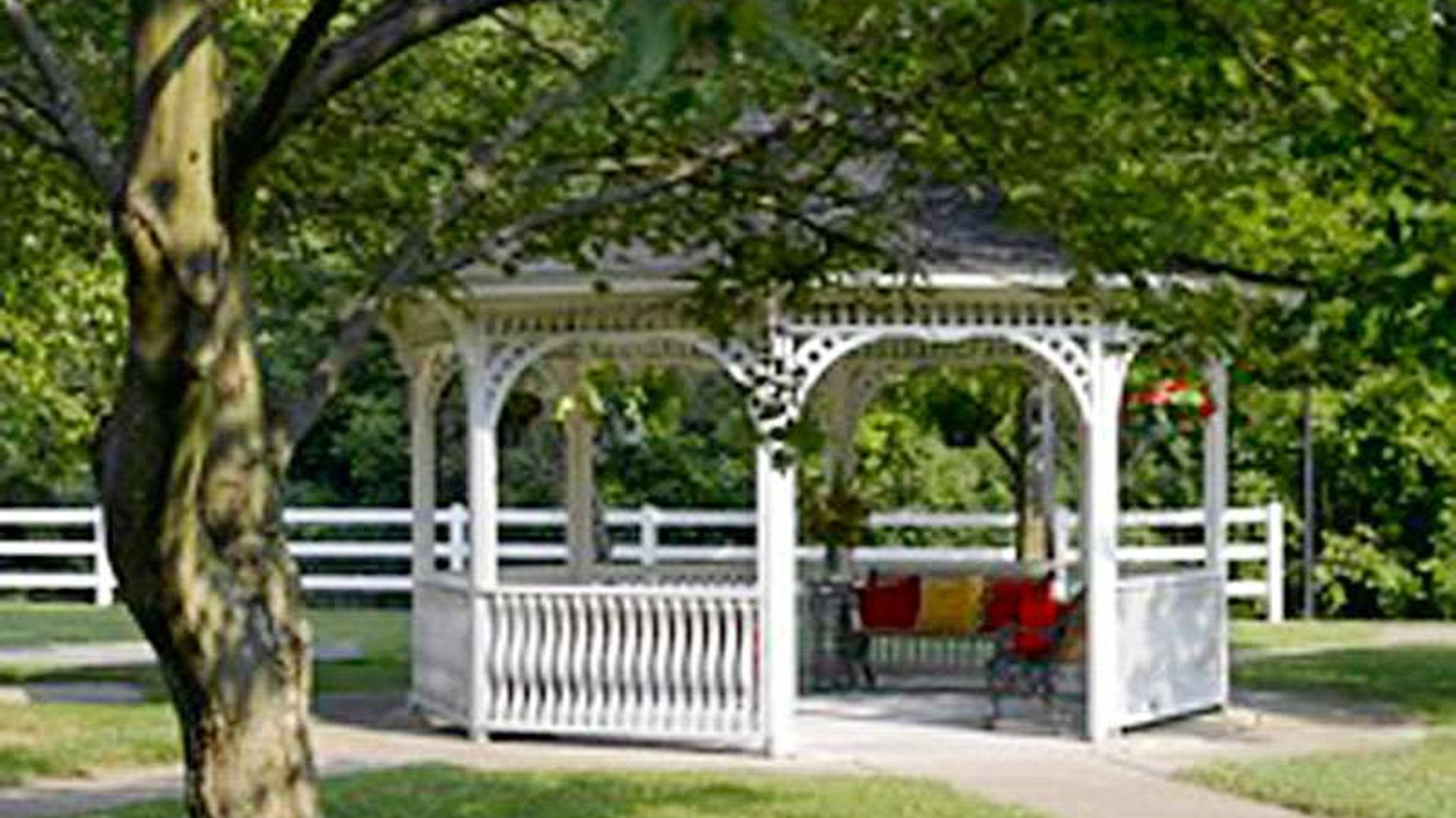 System.Collections.Generic.List`1[AFS.Common.Models.Photo] - Image 6