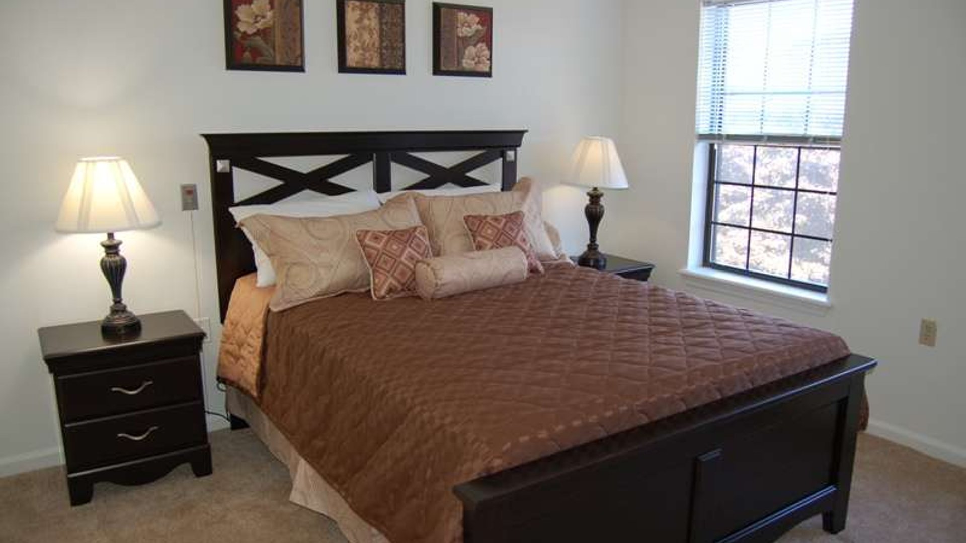 System.Collections.Generic.List`1[AFS.Common.Models.Photo] - Image 5