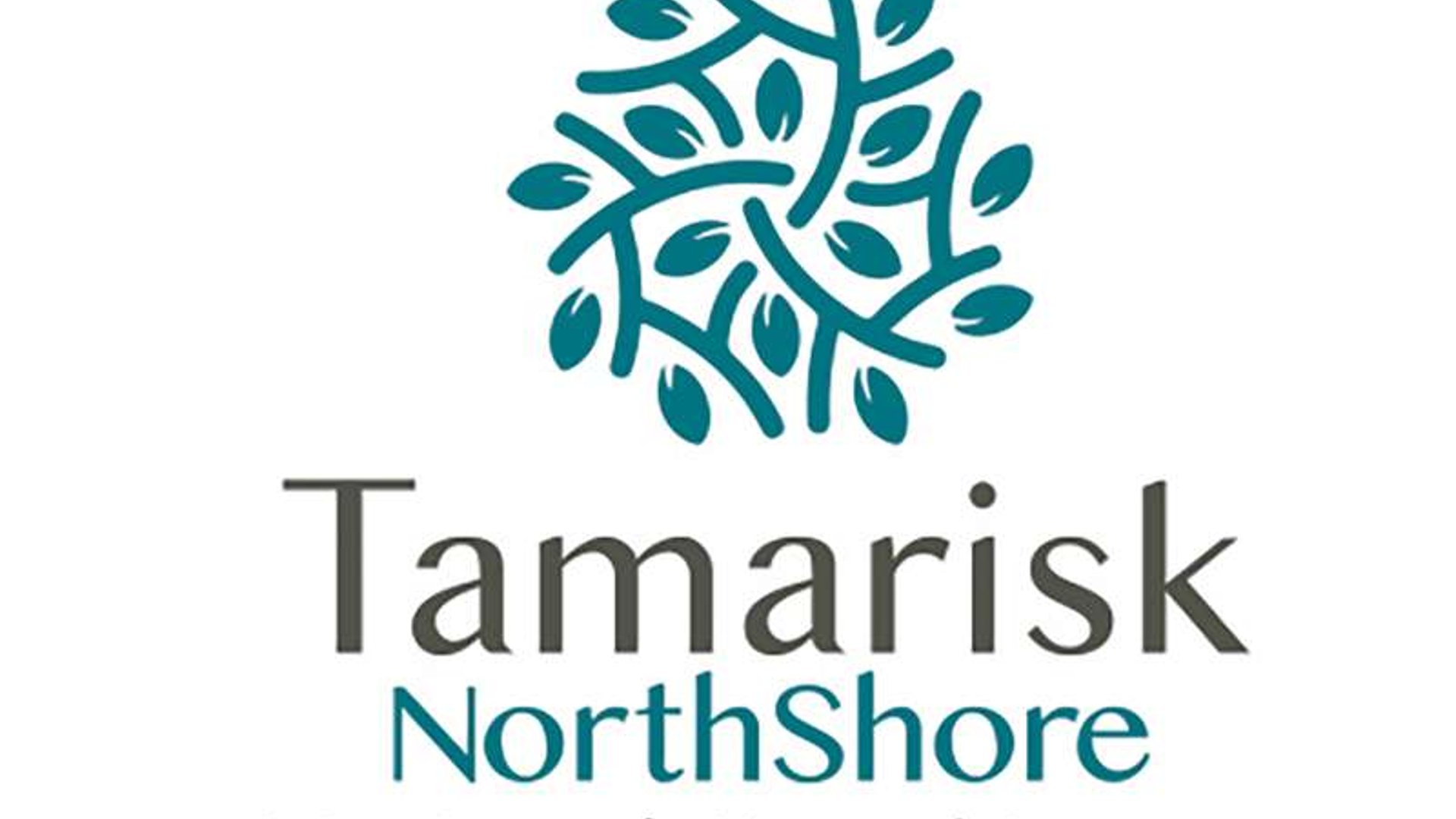 System.Collections.Generic.List`1[AFS.Common.Models.Photo] - Image 1