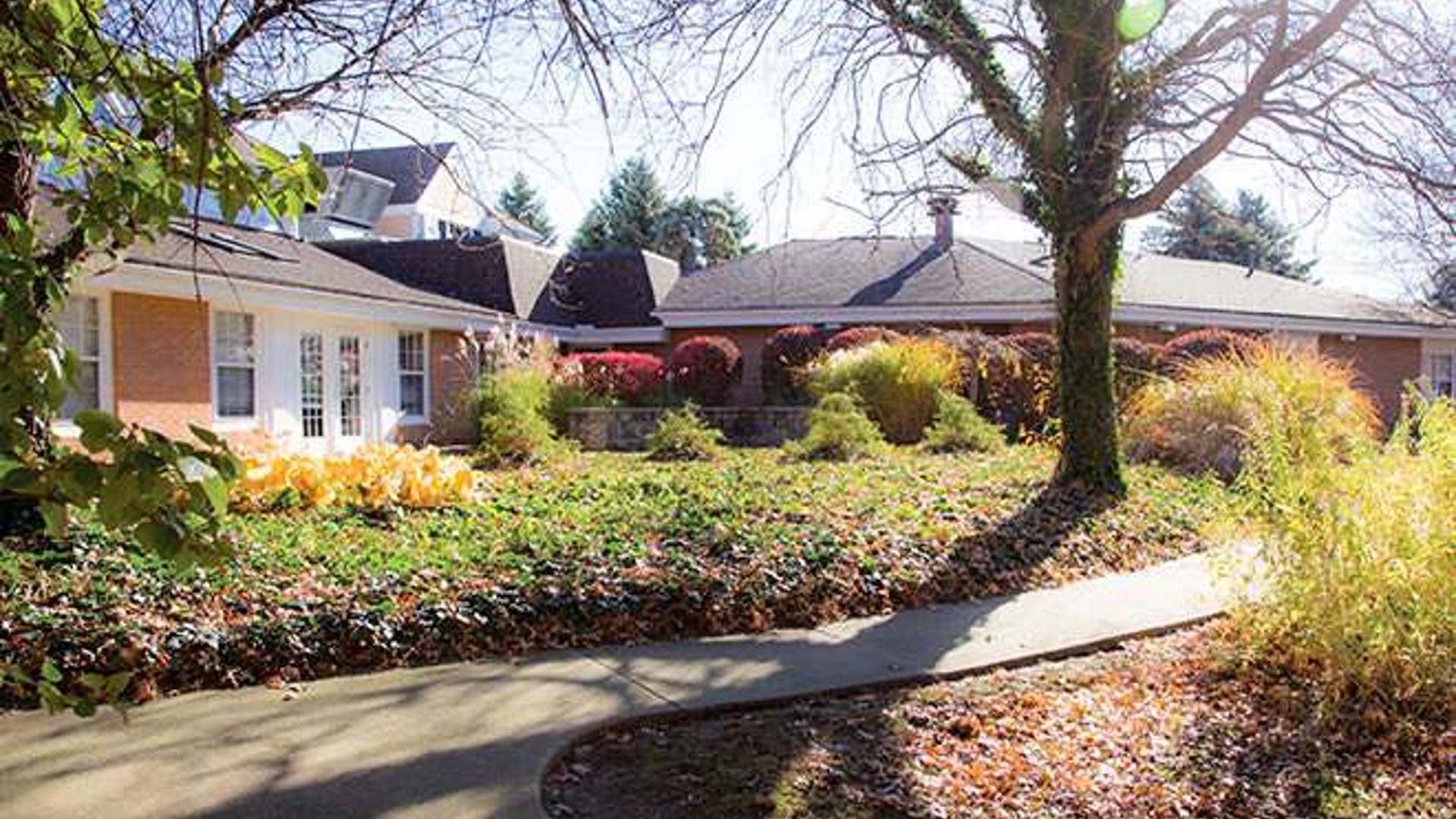 System.Collections.Generic.List`1[AFS.Common.Models.Photo] - Image 5