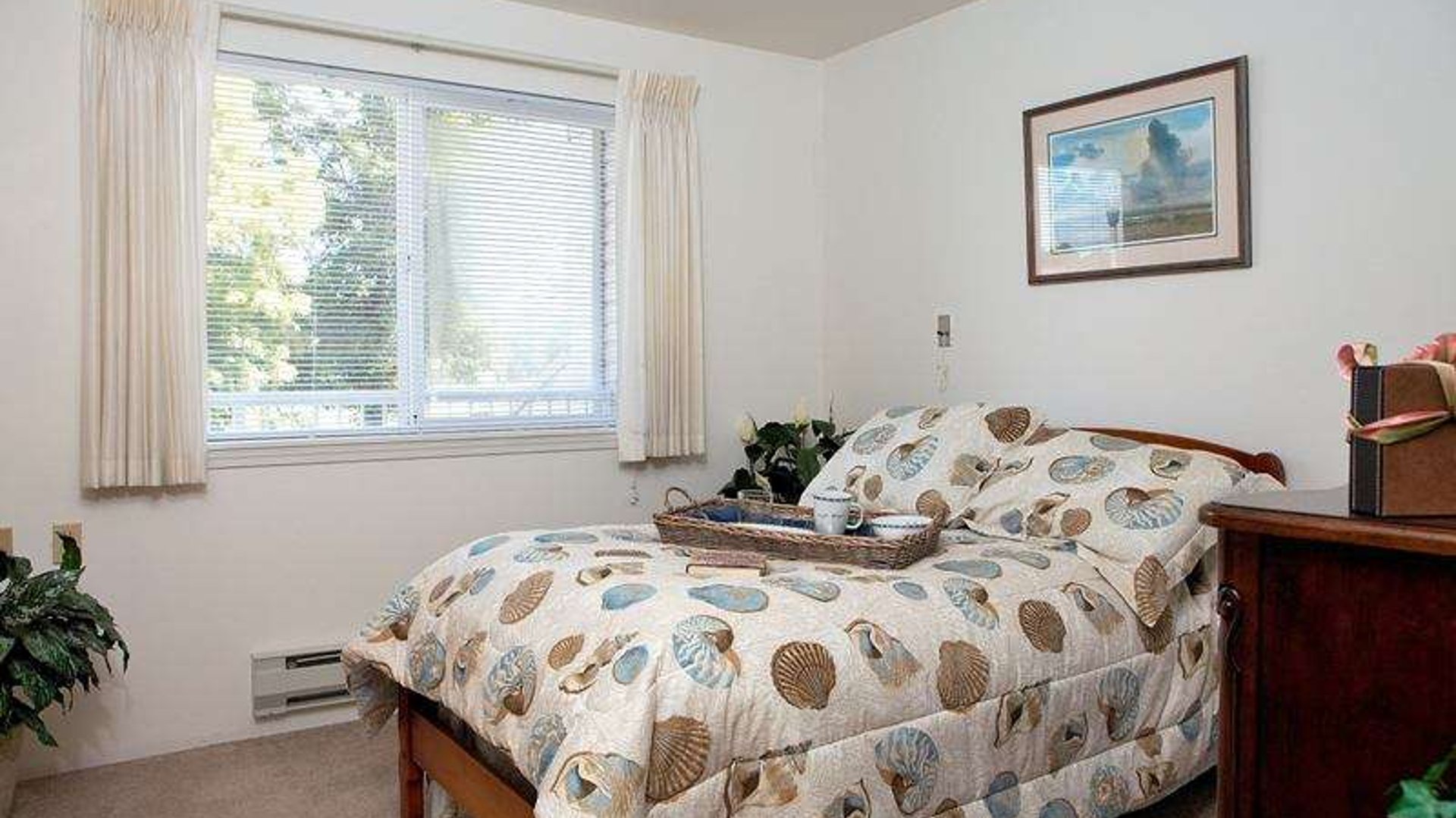 System.Collections.Generic.List`1[AFS.Common.Models.Photo] - Image 5