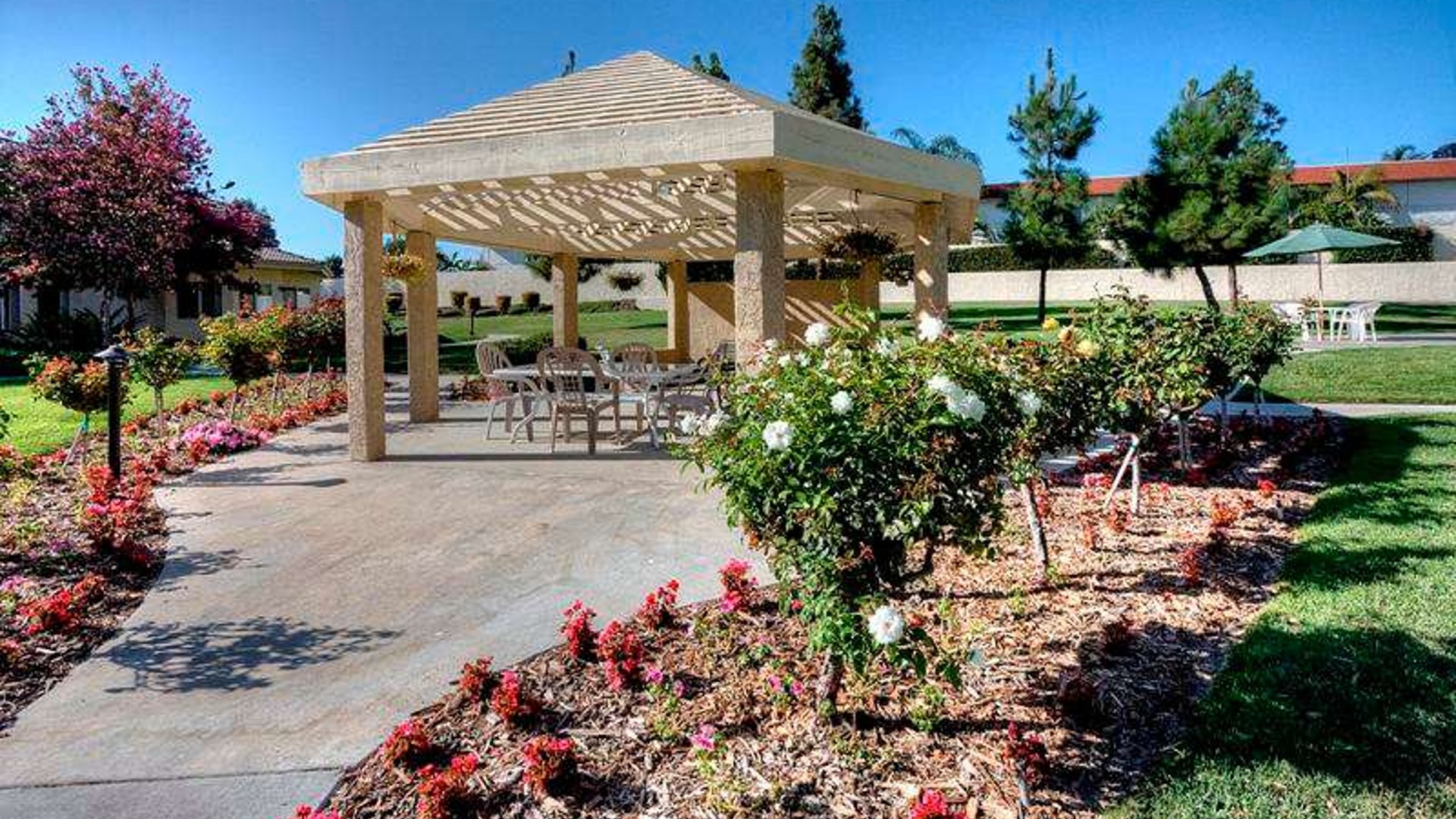 System.Collections.Generic.List`1[AFS.Common.Models.Photo] - Image 6