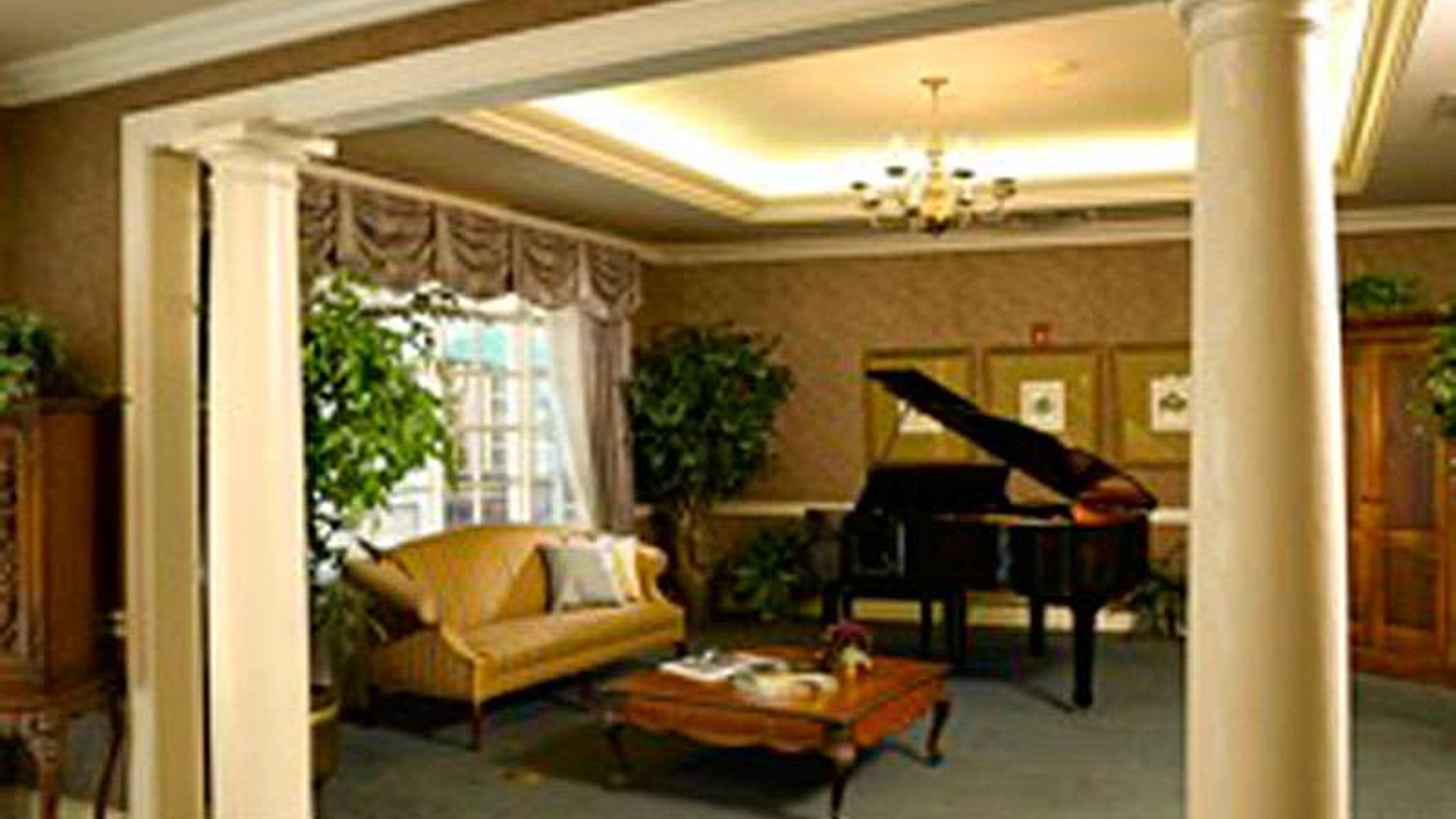 System.Collections.Generic.List`1[AFS.Common.Models.Photo] - Image 4