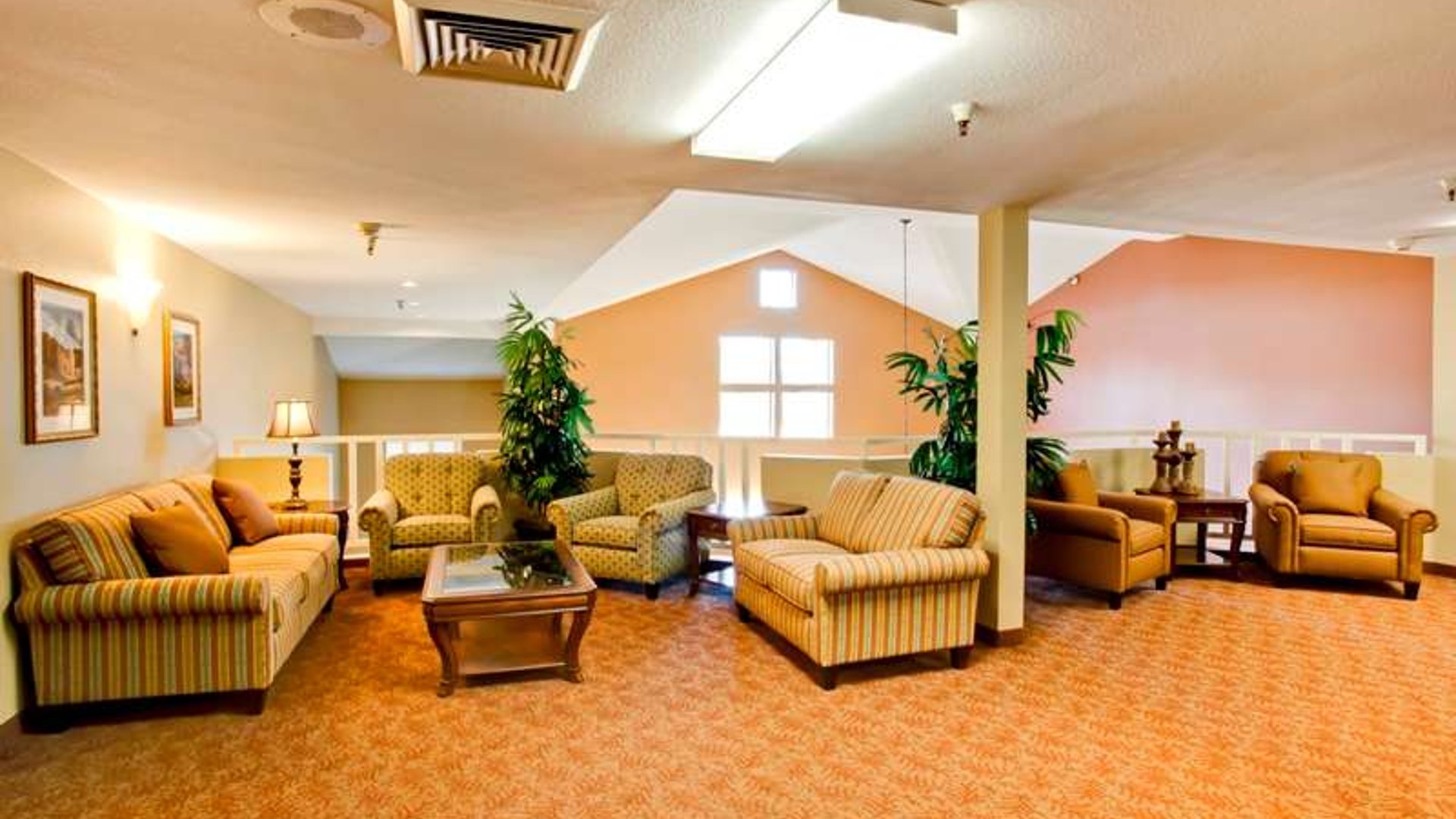 System.Collections.Generic.List`1[AFS.Common.Models.Photo] - Image 2