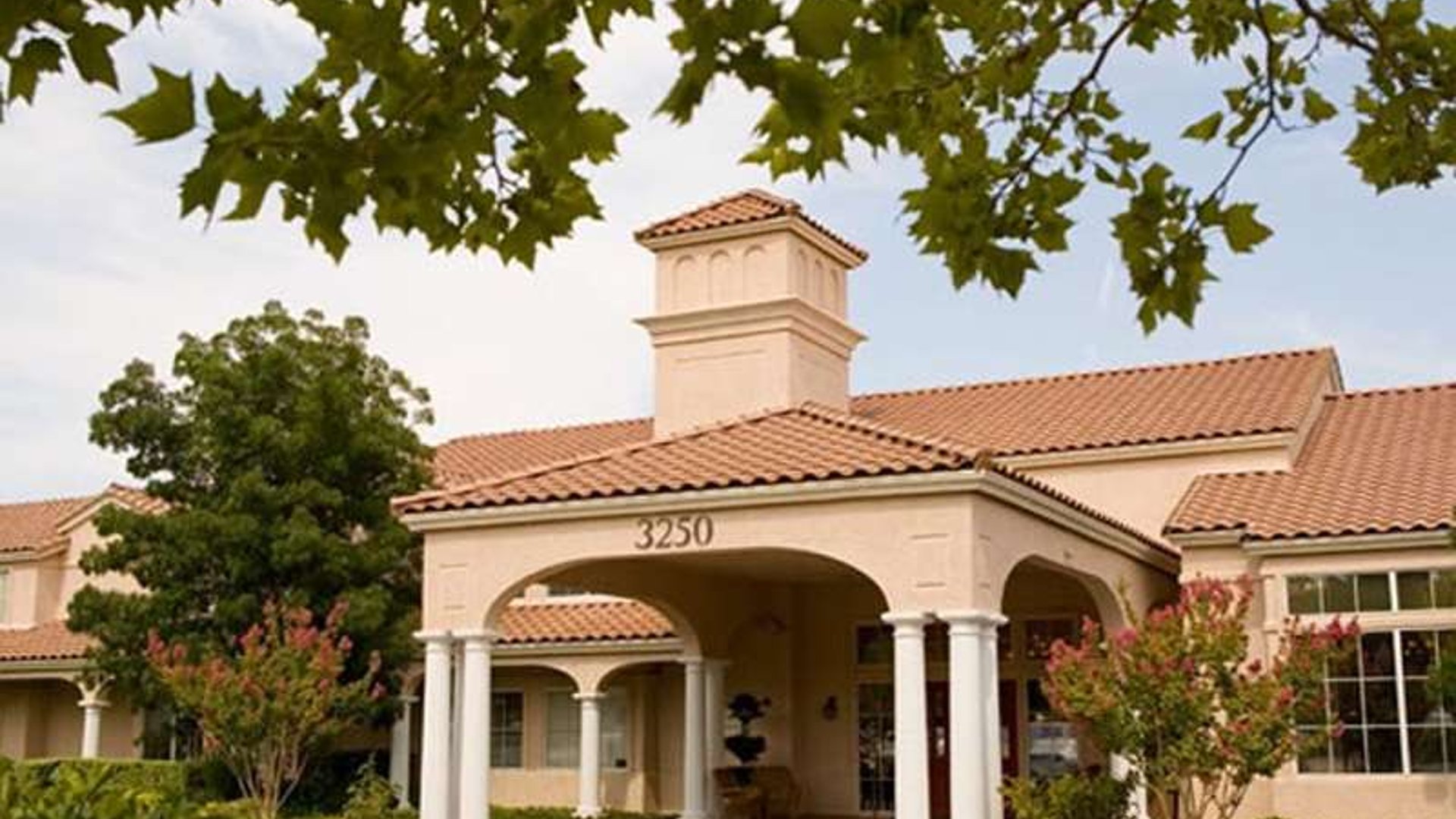 System.Collections.Generic.List`1[AFS.Common.Models.Photo] - Image 1