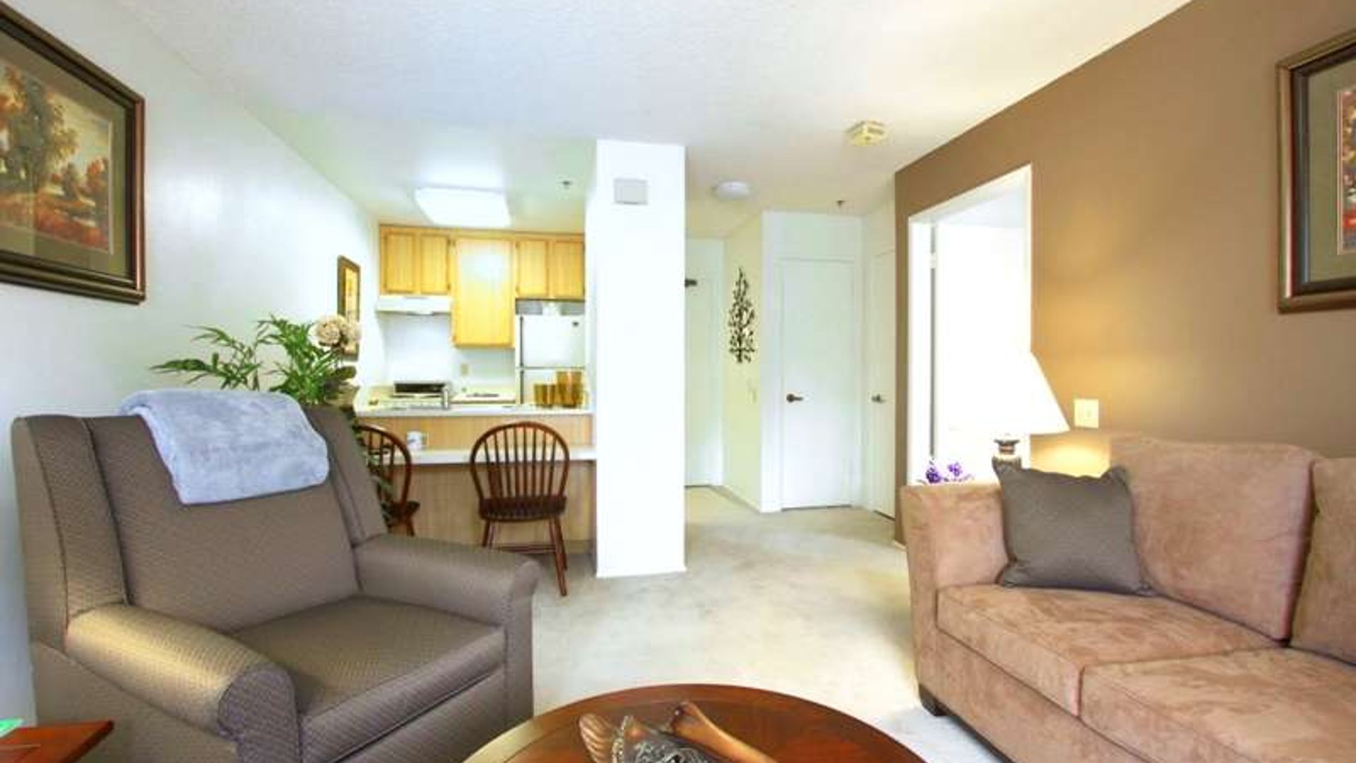 System.Collections.Generic.List`1[AFS.Common.Models.Photo] - Image 3