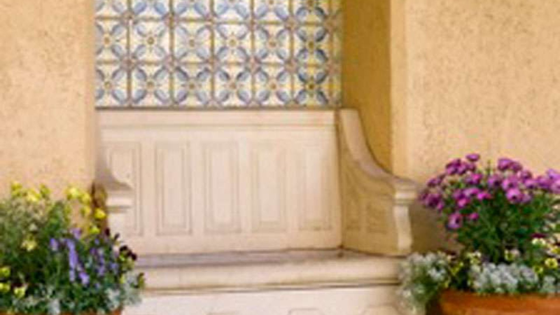 System.Collections.Generic.List`1[AFS.Common.Models.Photo] - Image 7