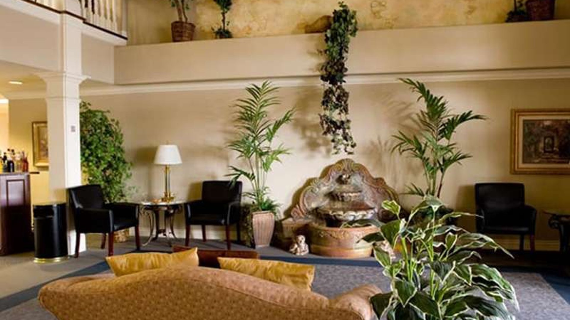 System.Collections.Generic.List`1[AFS.Common.Models.Photo] - Image 2