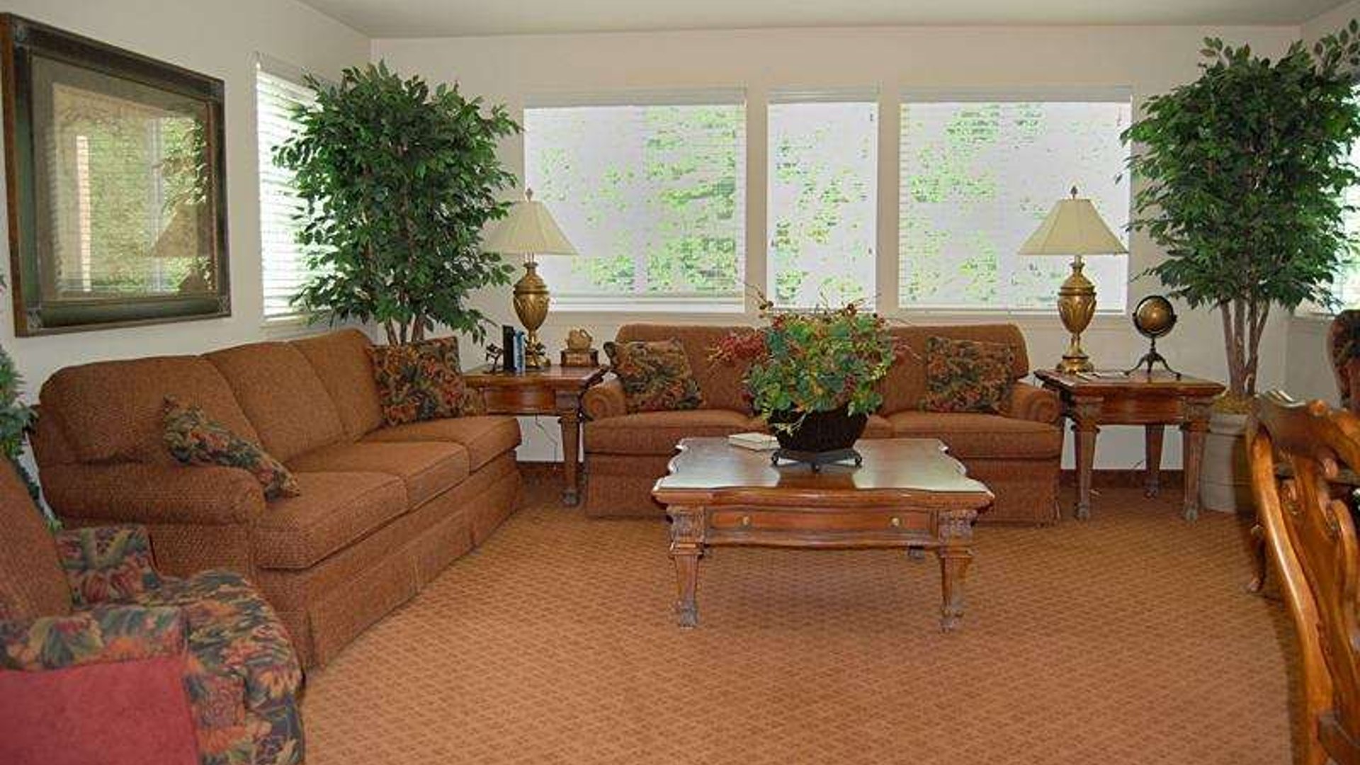 System.Collections.Generic.List`1[AFS.Common.Models.Photo] - Image 4