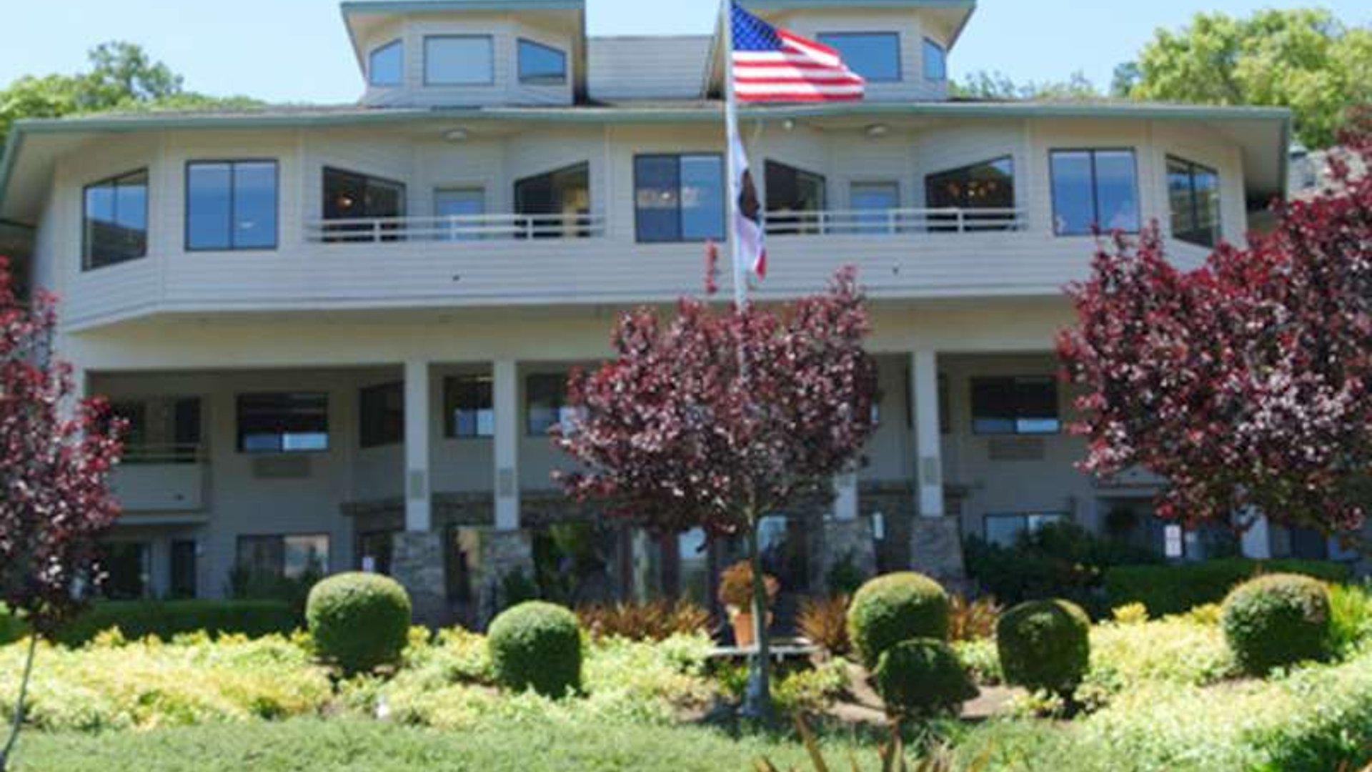 System.Collections.Generic.List`1[AFS.Common.Models.Photo] - Image 1