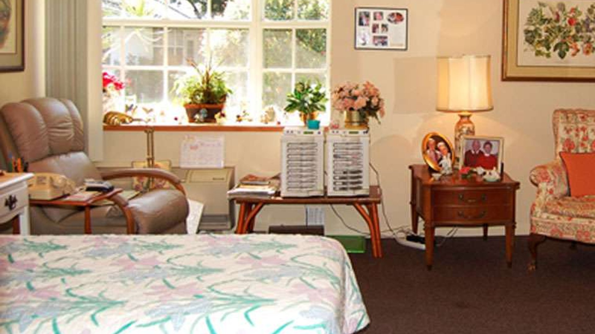 System.Collections.Generic.List`1[AFS.Common.Models.Photo] - Image 4