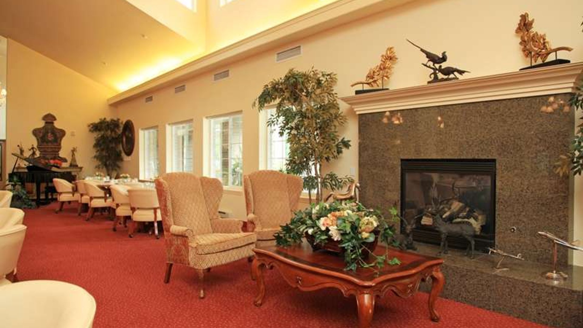 System.Collections.Generic.List`1[AFS.Common.Models.Photo] - Image 5