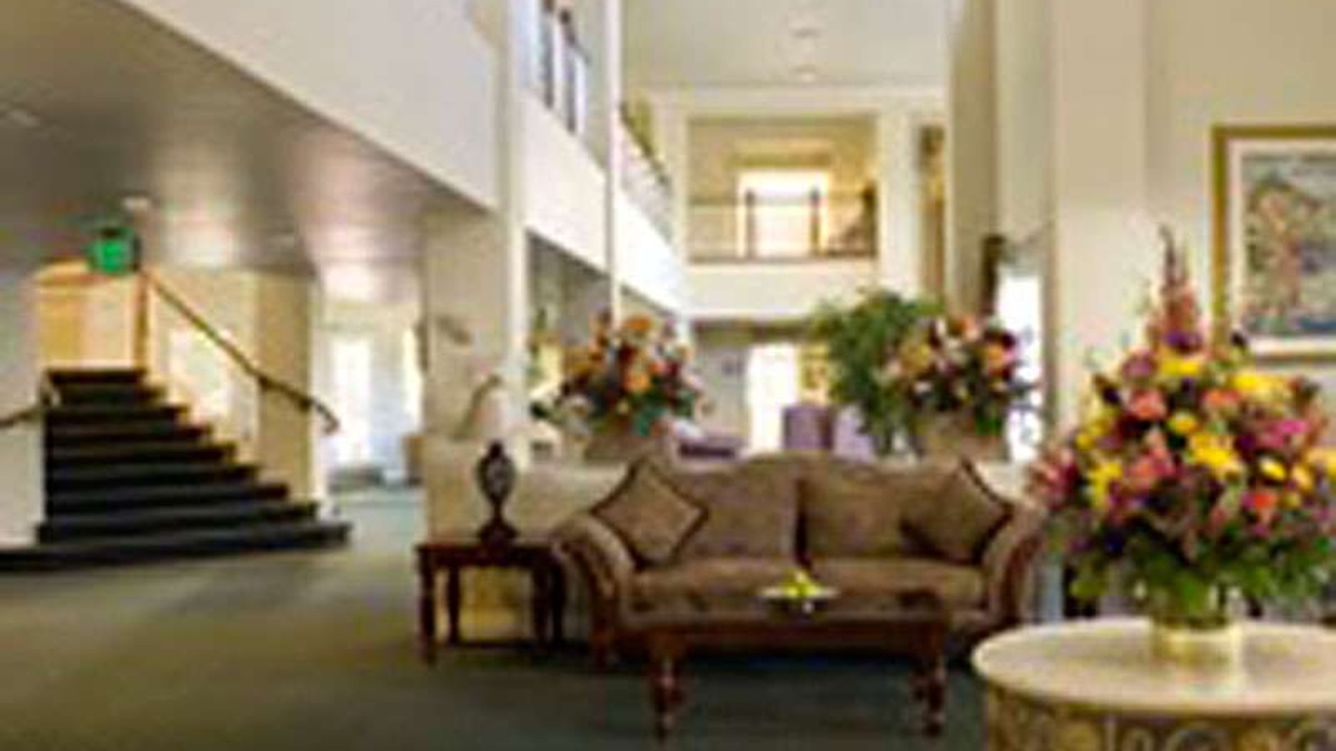 System.Collections.Generic.List`1[AFS.Common.Models.Photo] - Image 4