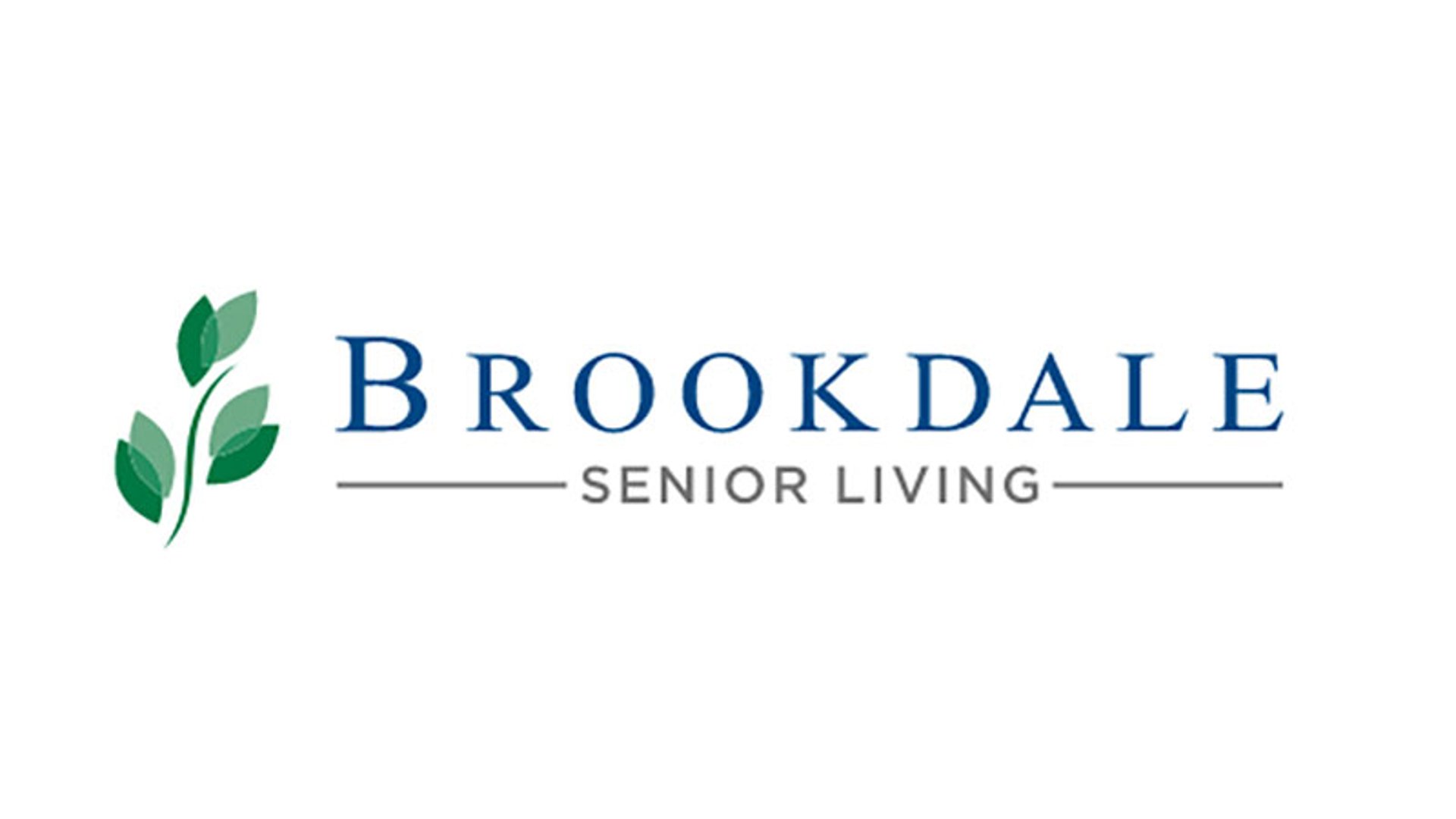 System.Collections.Generic.List`1[AFS.Common.Models.Photo] - Image 5