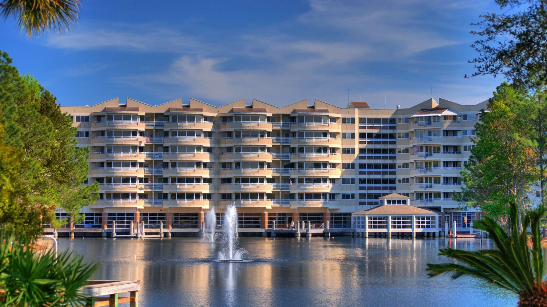 System.Collections.Generic.List`1[AFS.Common.Models.Photo] - Image 1