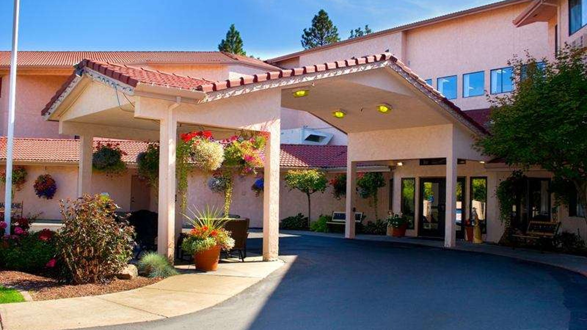 System.Collections.Generic.List`1[AFS.Common.Models.Photo] - Image 1