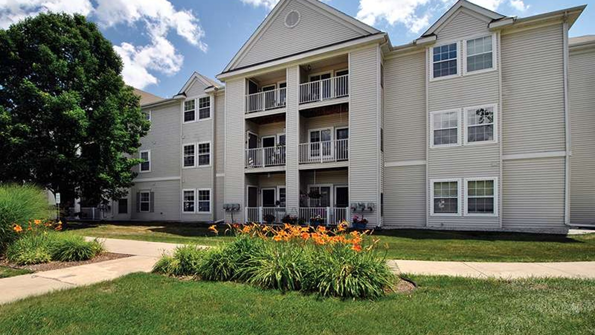 System.Collections.Generic.List`1[AFS.Common.Models.Photo] - Image 1