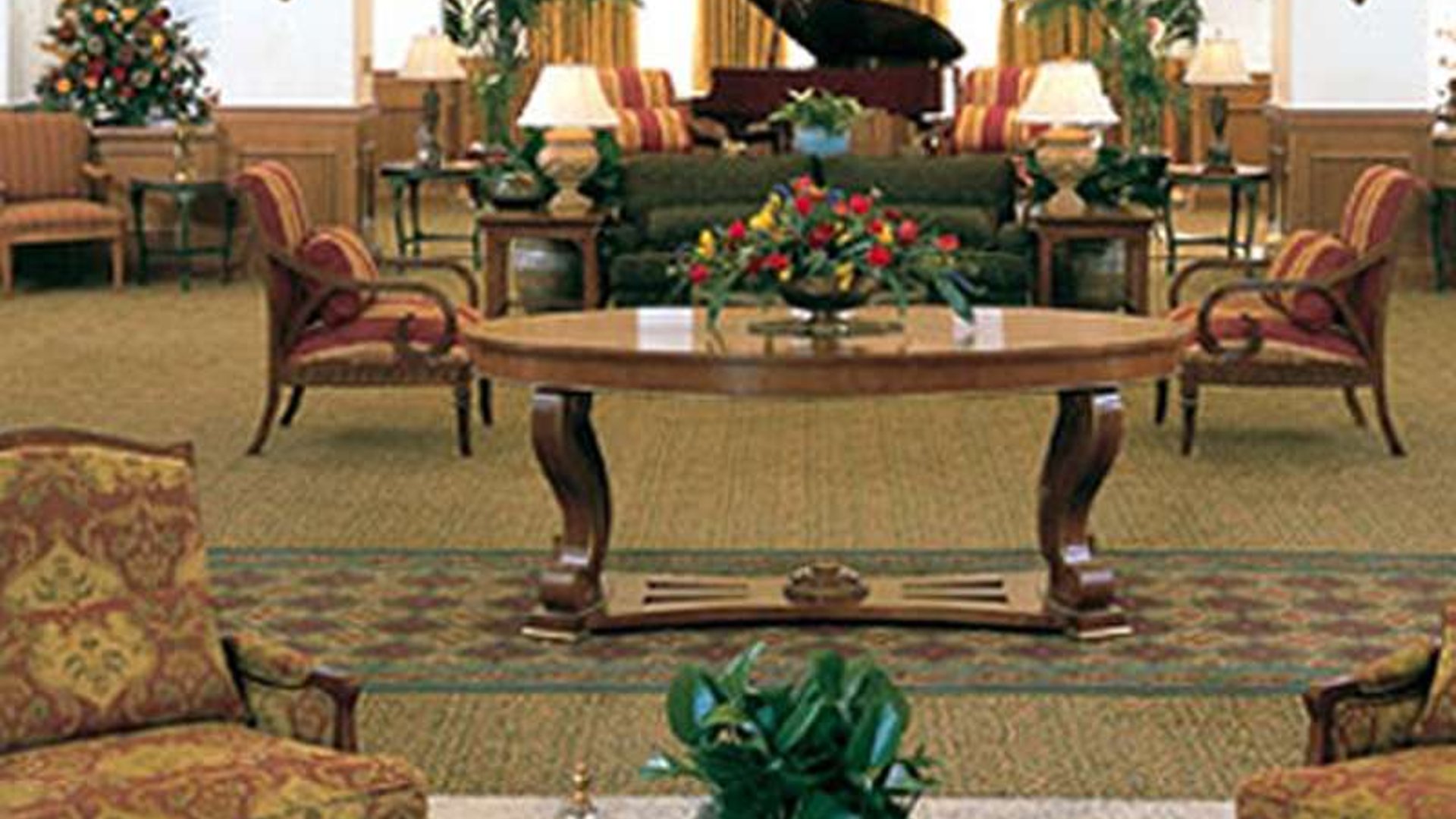 System.Collections.Generic.List`1[AFS.Common.Models.Photo] - Image 2