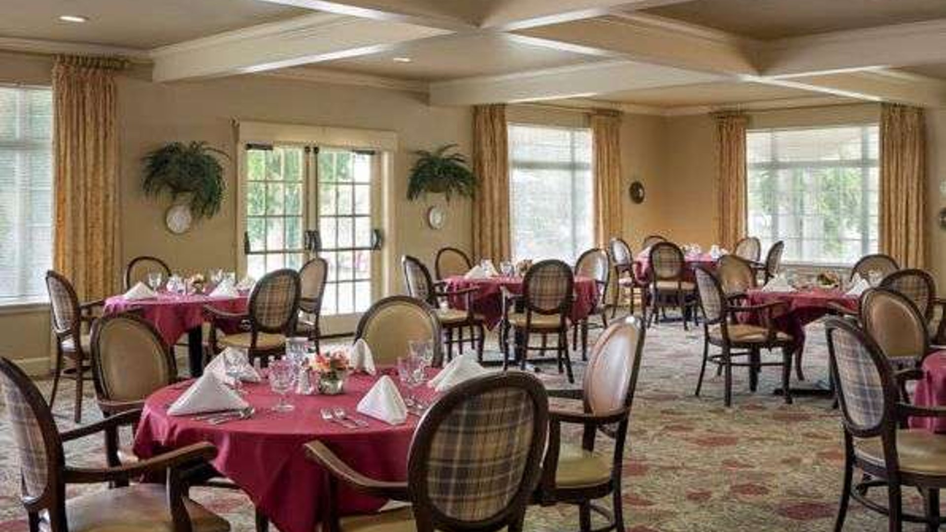 System.Collections.Generic.List`1[AFS.Common.Models.Photo] - Image 4